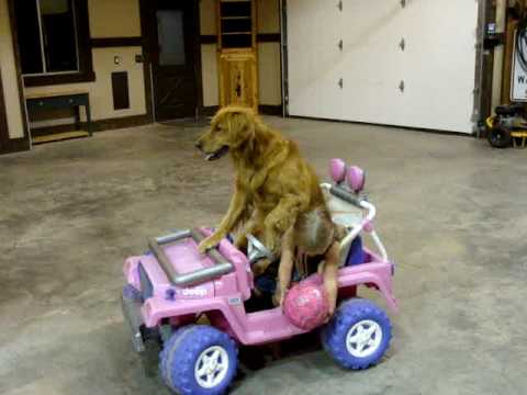 Ford Bronco Sport How I feel not knowing Playboyshiredhand2