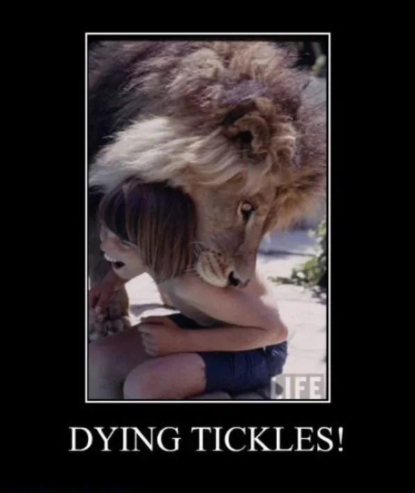 Ford Bronco Sport Daily dose of funny Dying_Tickles