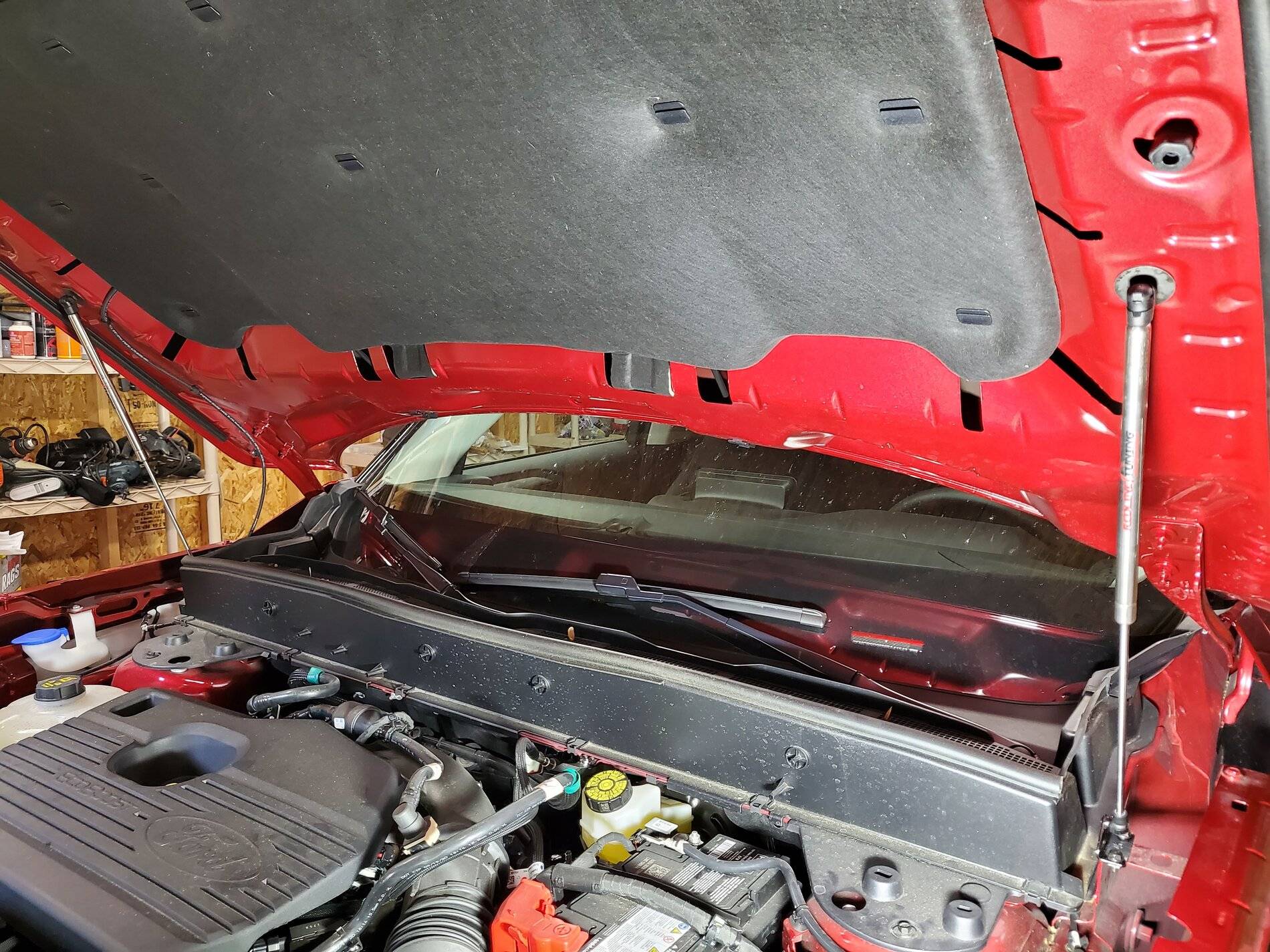 Ford Bronco Sport Hood Struts 20210604_173440