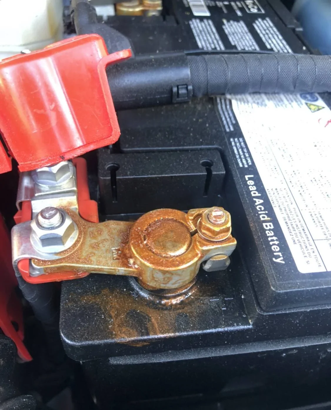 Ford Bronco Sport Is My Battery Leaking?? IMG_9985