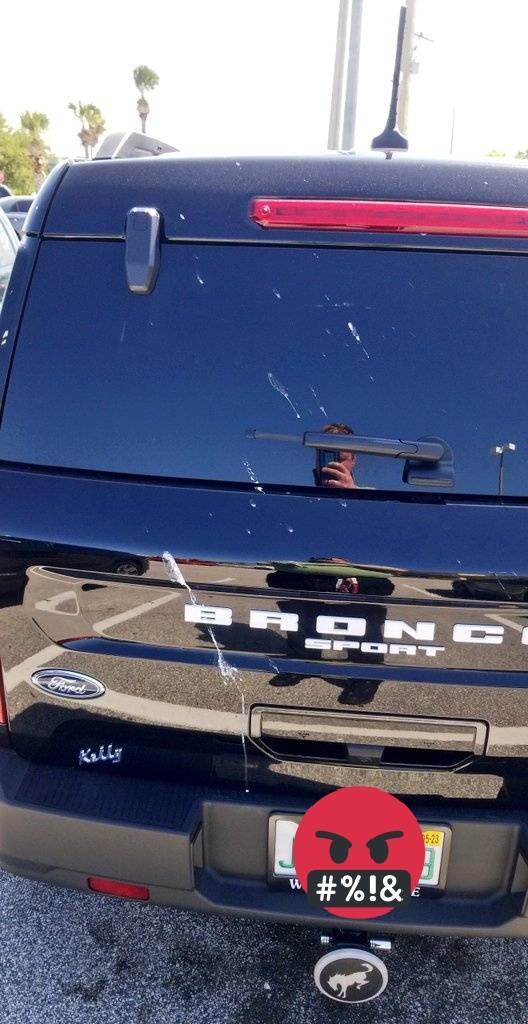 Ford Bronco Sport THE BIRDS HATE BRONCOS BE WARNED!!! IMG_hyemy2