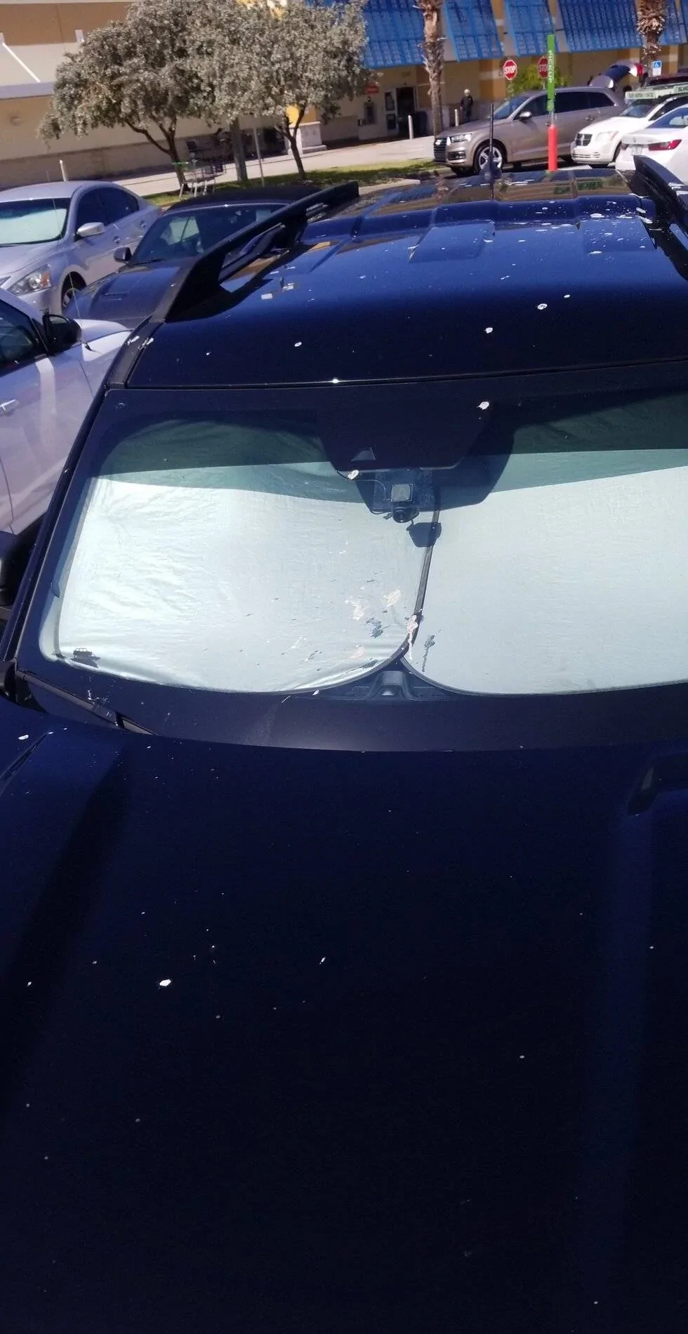 Ford Bronco Sport THE BIRDS HATE BRONCOS BE WARNED!!! USER_SCOPED_TEMP_DATA_MSGR_PHOTO_FOR_UPLOAD_1623441965249_6809209128614033150