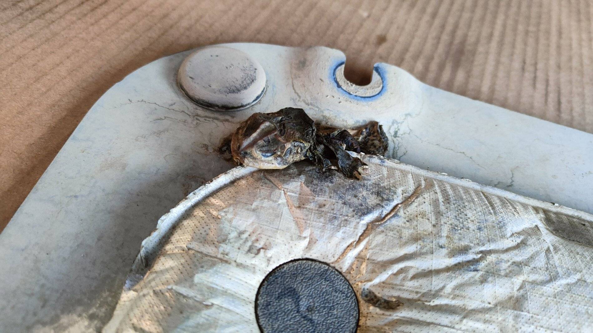 Ford Bronco Sport Oil Change IMG20210611200015