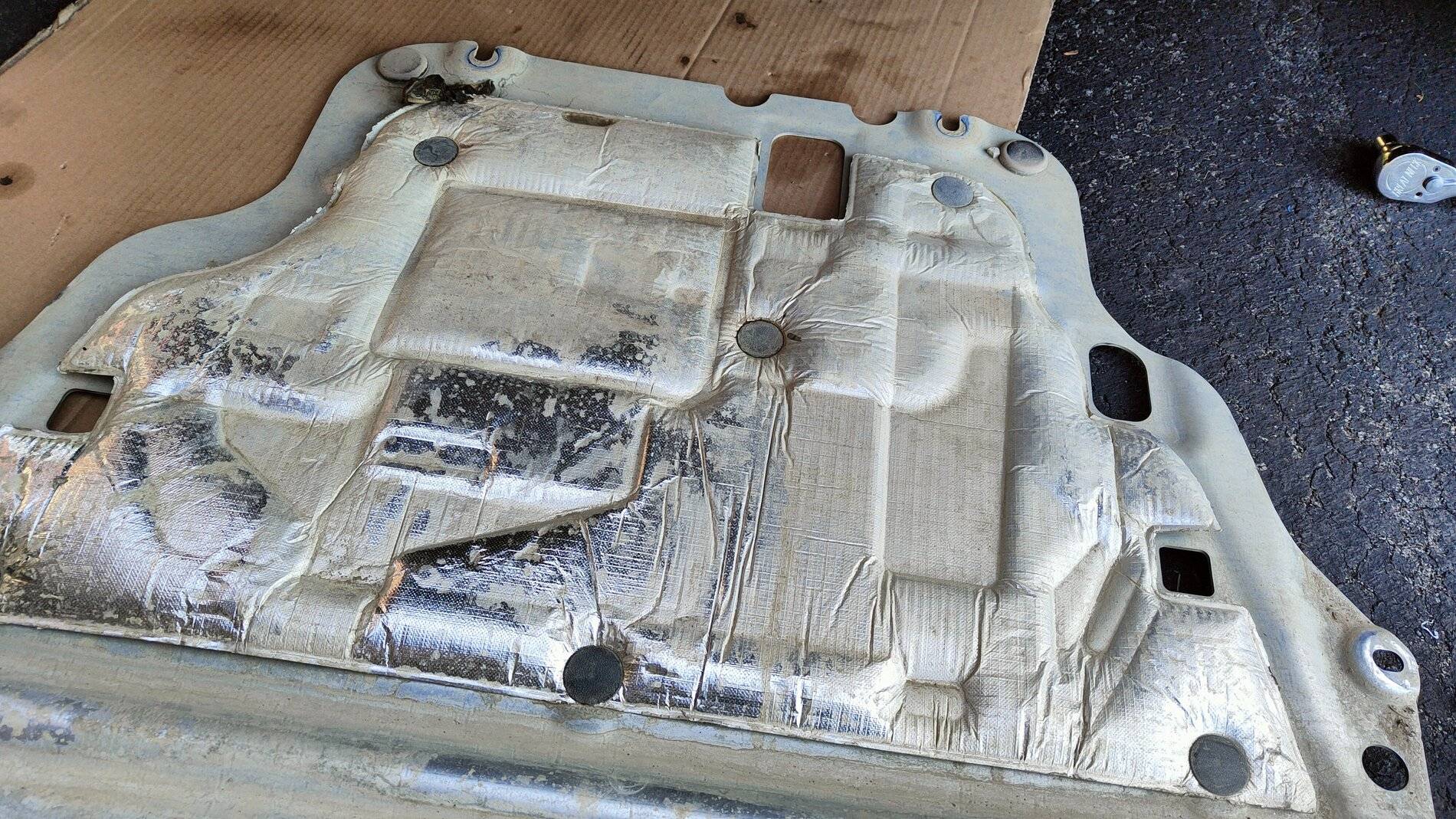 Ford Bronco Sport Present from Mexico? IMG20210611200012