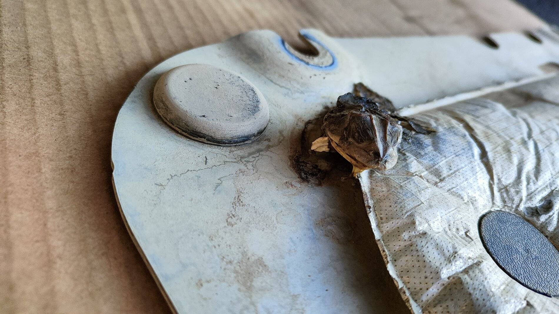 Ford Bronco Sport Present from Mexico? IMG20210611200020