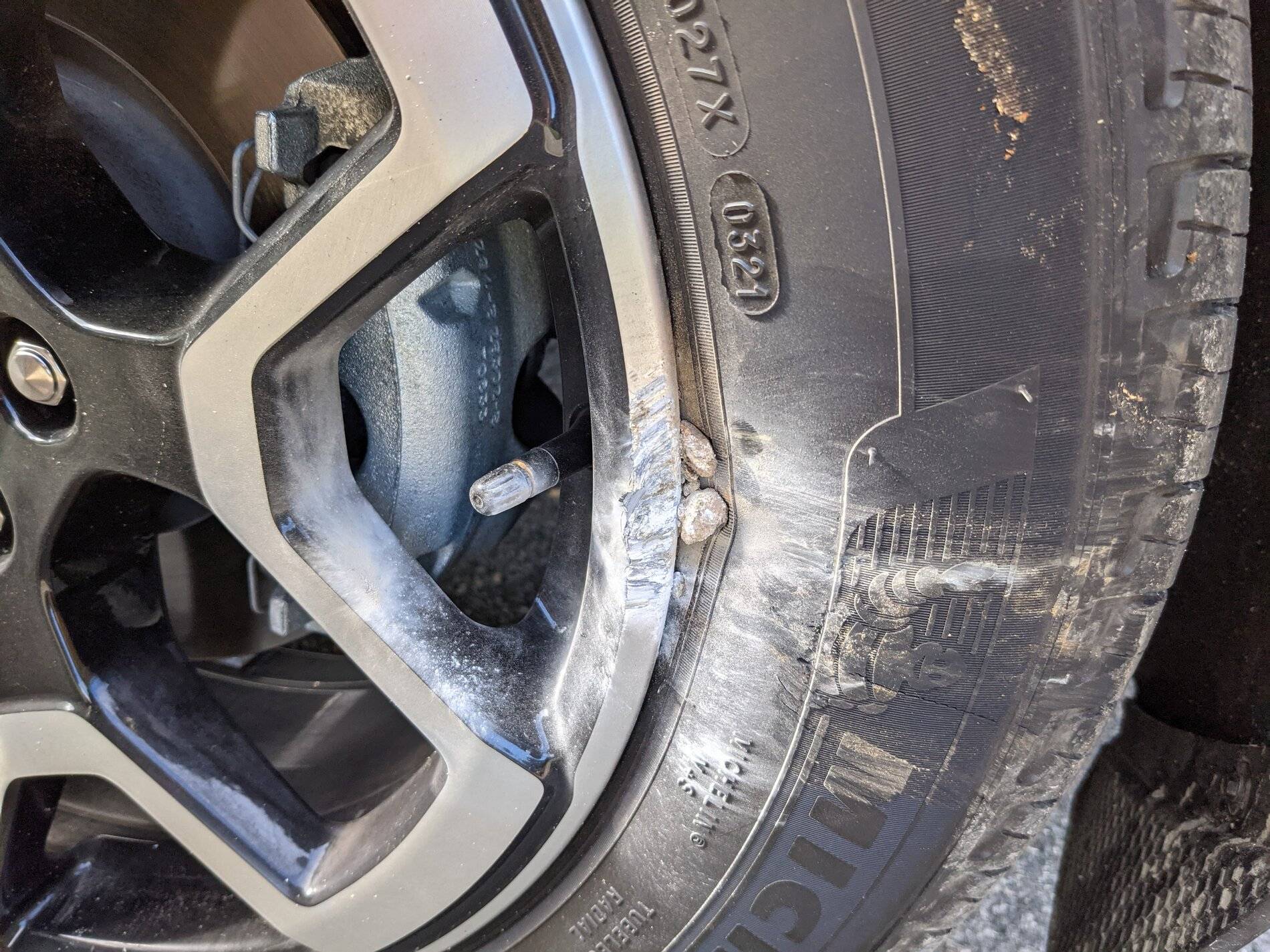 Ford Bronco Sport Accidental off-roading PXL_20210615_120656696