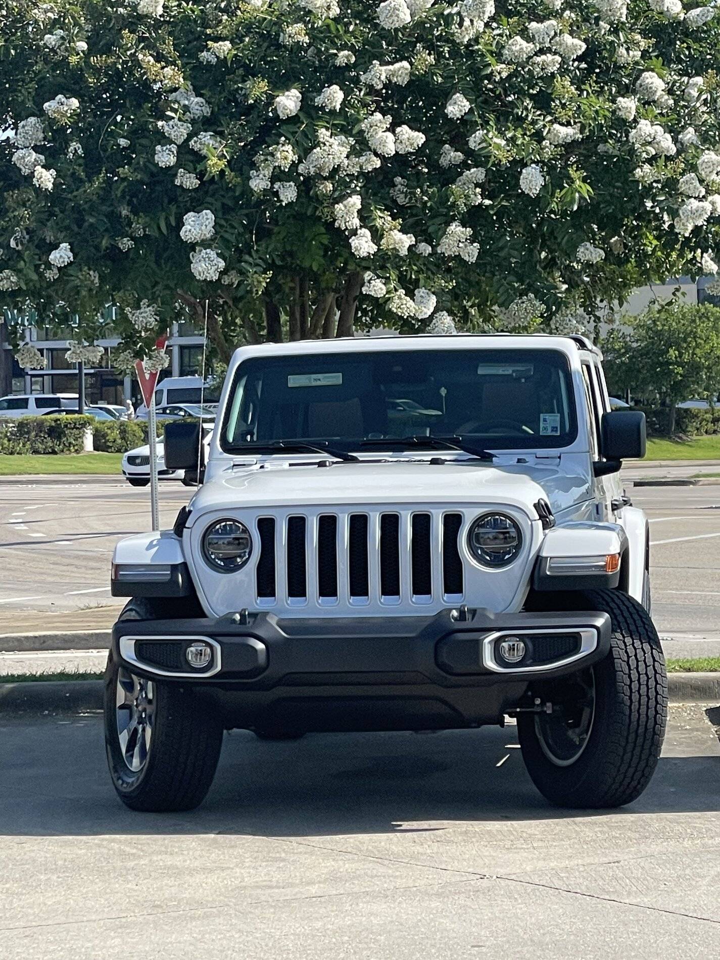 Ford Bronco Sport Waiting room 6AA19486-6EE5-4D7D-BB2C-F120AA81C041