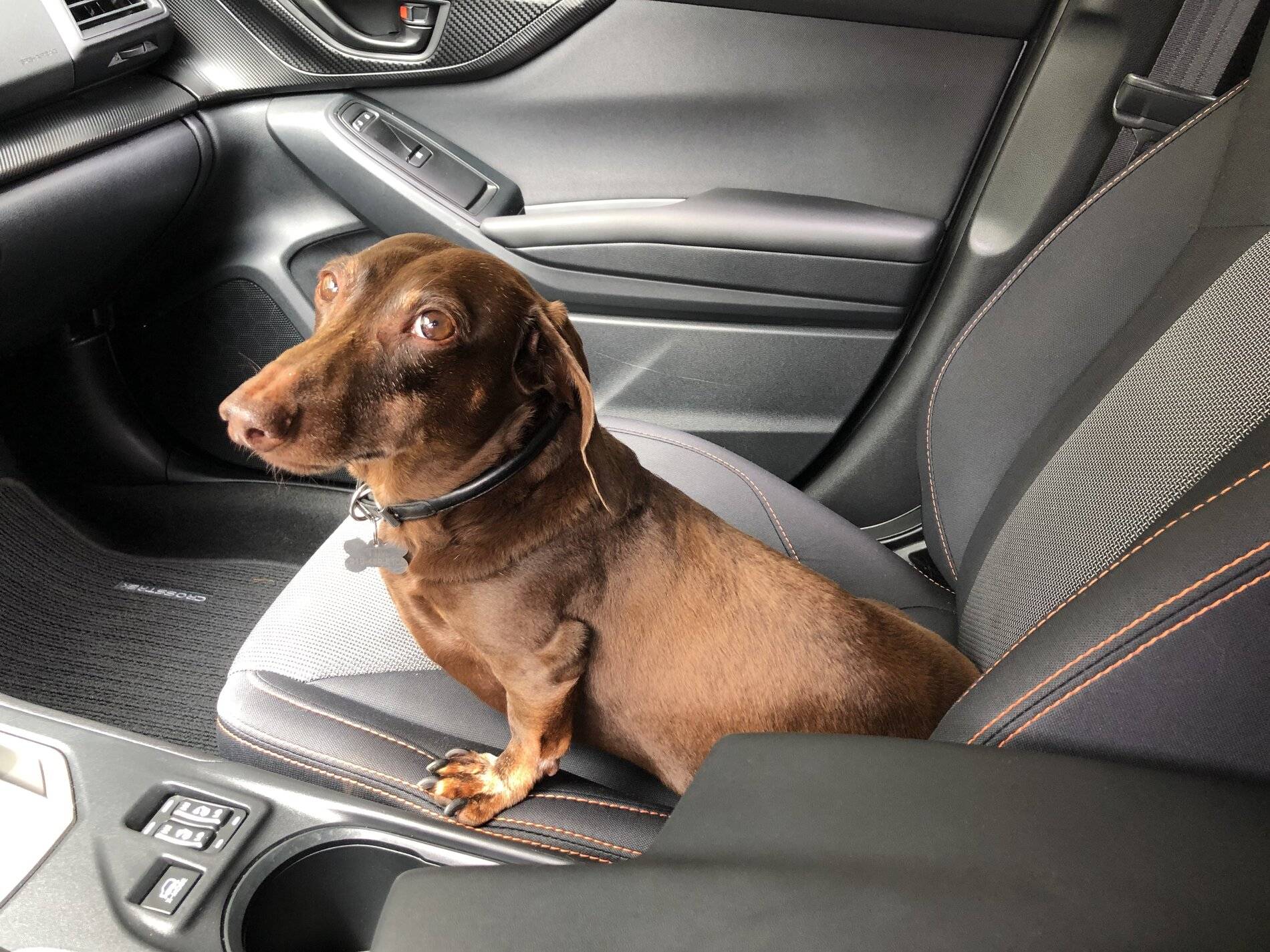 Ford Bronco Sport If you can't get Bronco Sport then what? IMG_2213