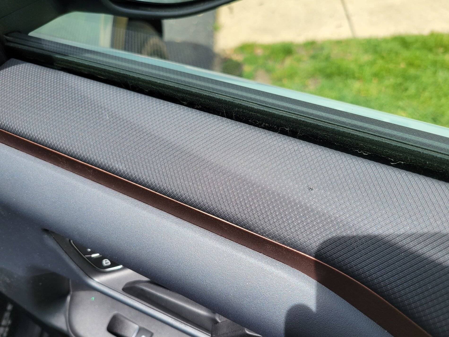 Ford Bronco Sport Interior scratches easily from a dog?!?!? 189144527_537761167388797_3825889465024841319_n