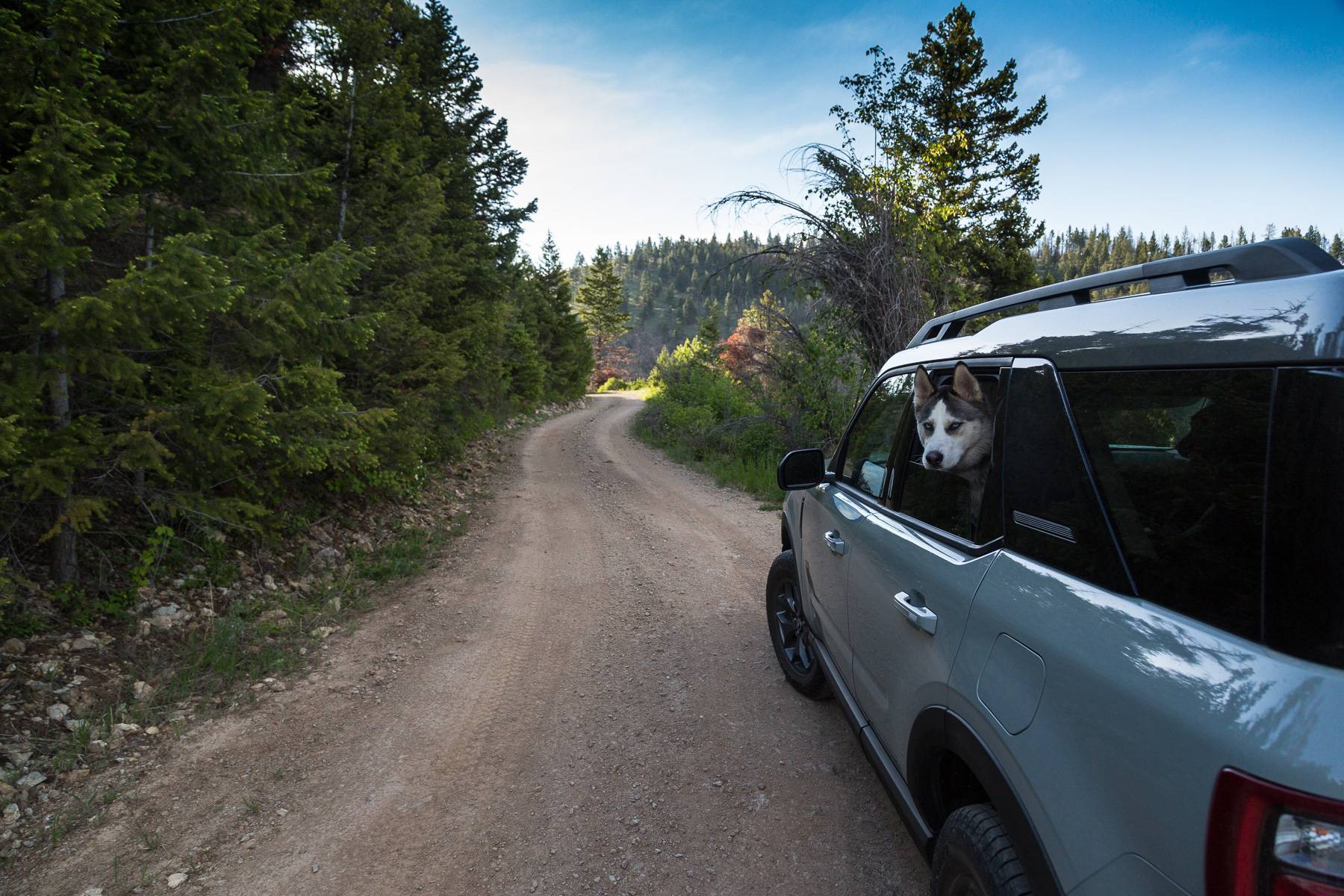 Ford Bronco Sport Post the best photos you've got of your Bronco Sport 20210610_FS1311_OnX-2