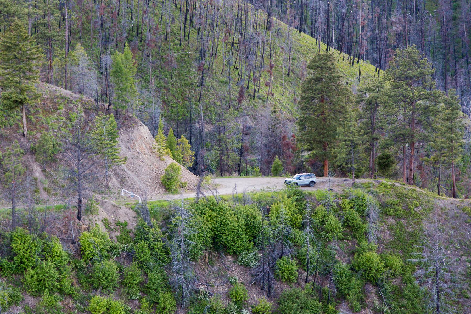 Ford Bronco Sport Post the best photos you've got of your Bronco Sport 20210610_FS1311_OnX-4