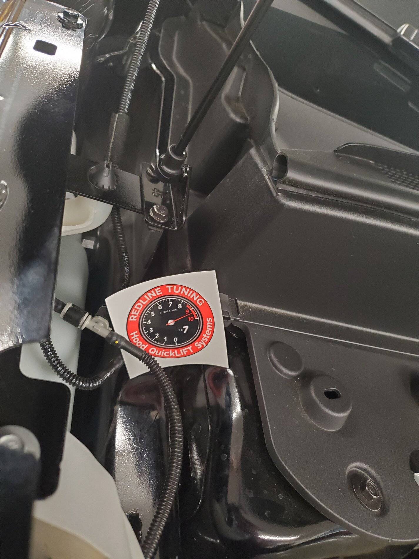 Ford Bronco Sport Hood Shocks installed 20210616_150357