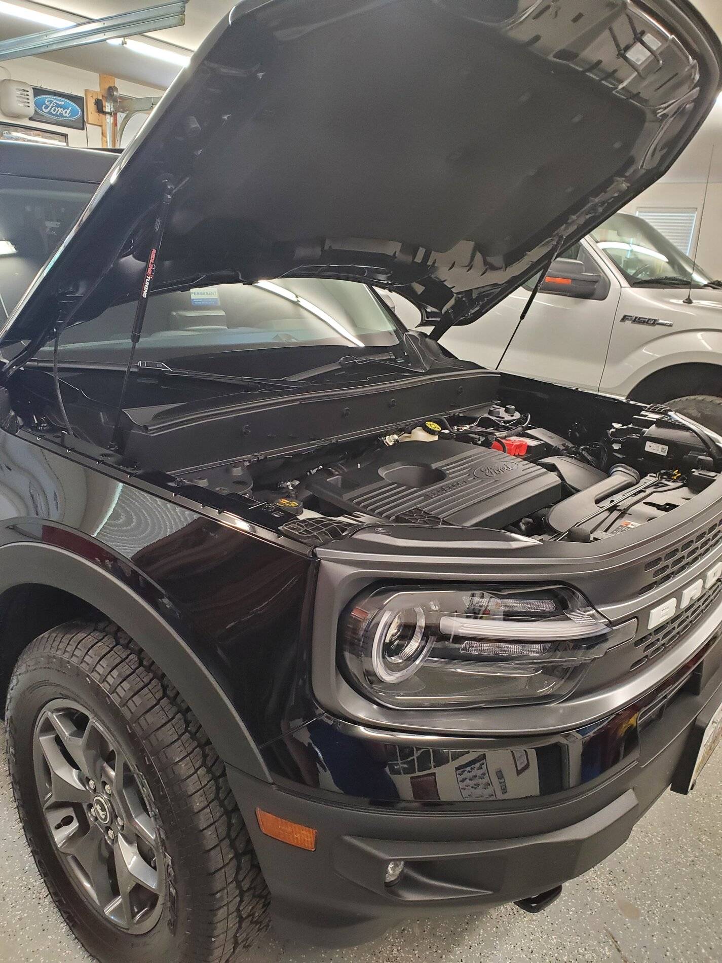 Ford Bronco Sport Hood Shocks installed 20210616_150416