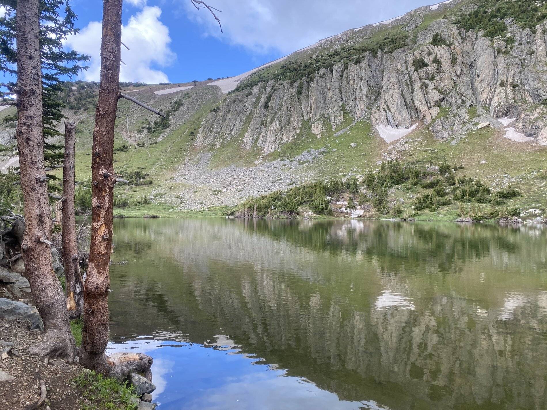 Ford Bronco Sport Off Road - Goose Lake Trail, Red River, NM 64894751-5D62-4B21-9E00-C42CB6B64706