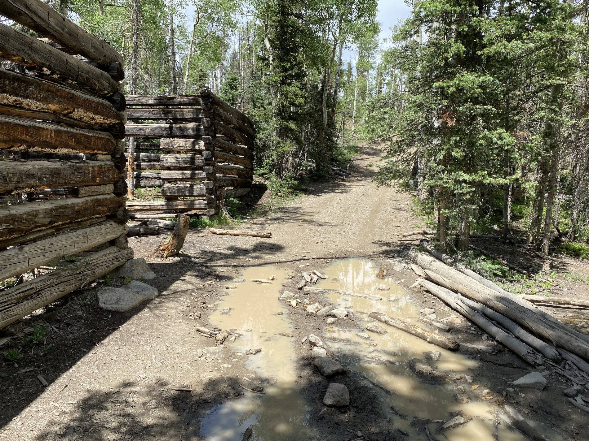 Ford Bronco Sport Off Road - Goose Lake Trail, Red River, NM 807CE9B5-CF8C-4241-803F-393A6127E26C