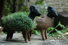 Ford Bronco Sport So Jeep has the ducks..... chia_goat