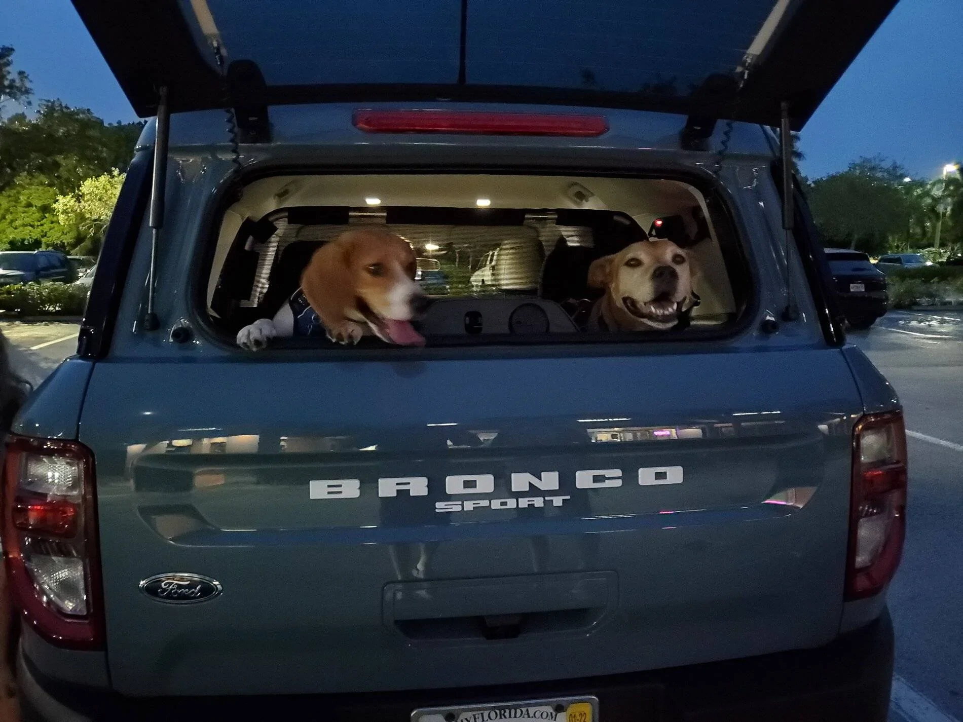 Ford Bronco Sport Show me your dogs!! 20210621_204052