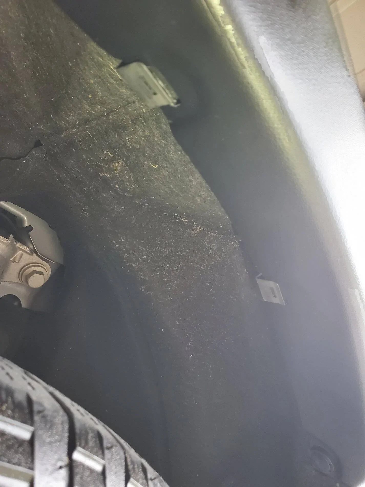 Ford Bronco Sport Help with bushwacker fender flares 20210701_135724