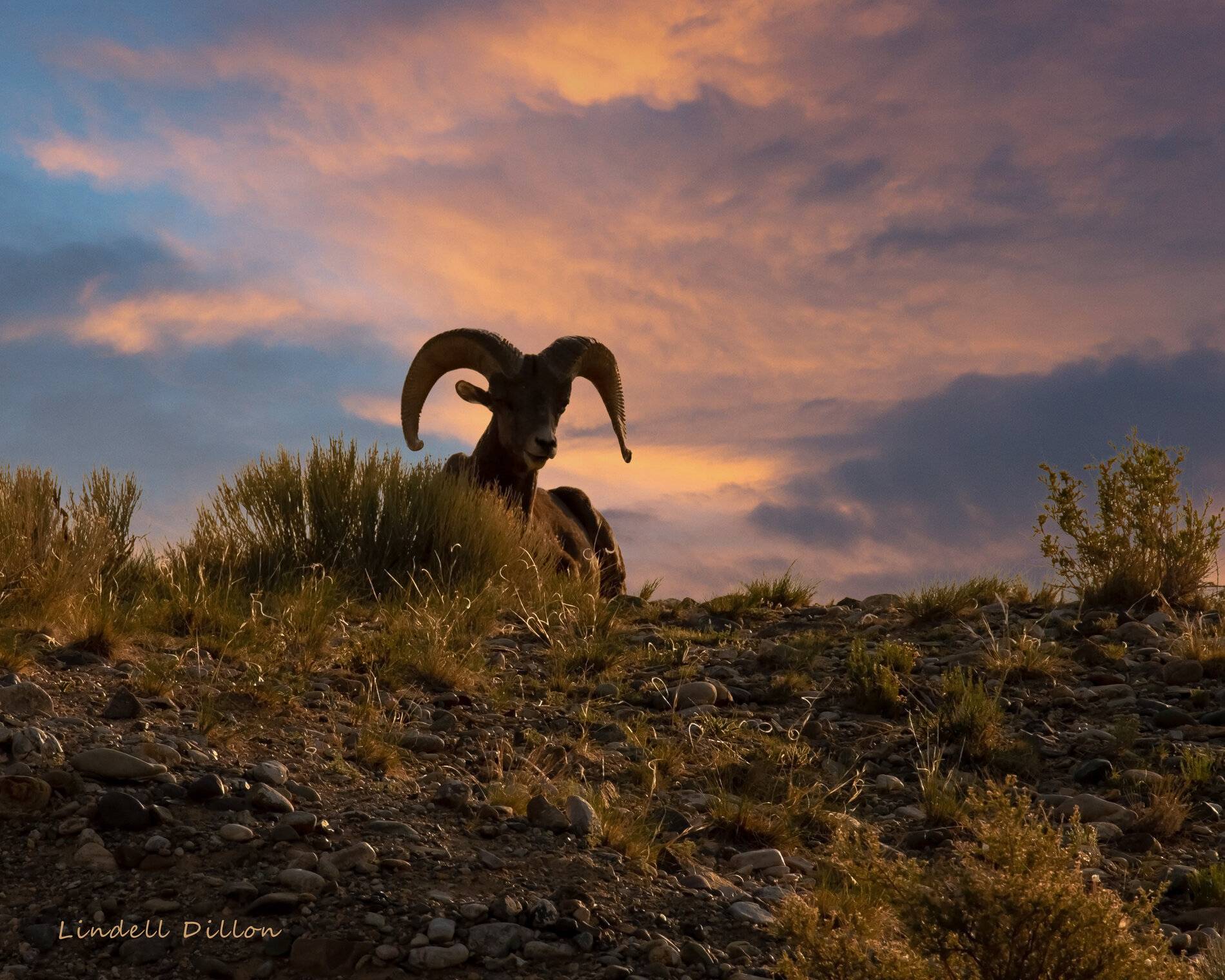Ford Bronco Sport Post the best photos you've got of your Bronco Sport taos 167