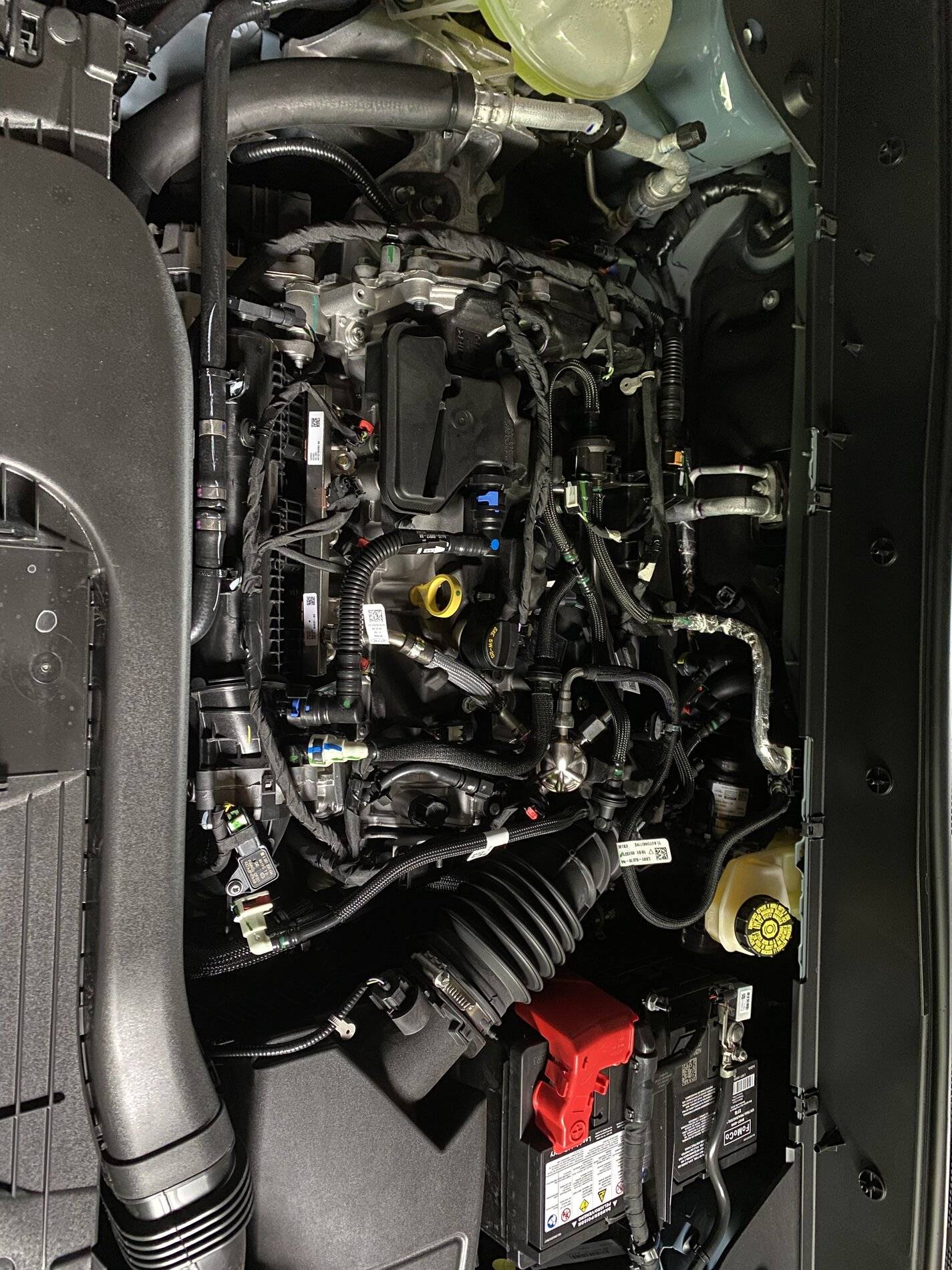 Ford Bronco Sport Upset over missing engine cover! 65213BF5-7C04-4D54-8E78-5A915A1EA0F6