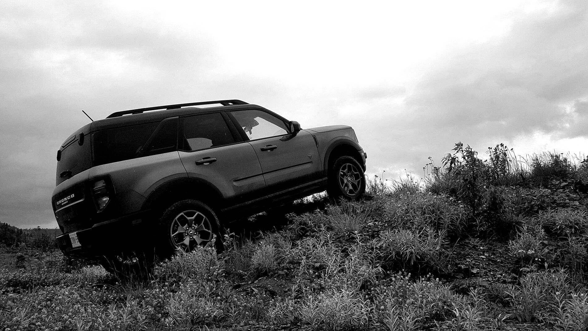 Ford Bronco Sport Photos of Bronco Sports in the Wild 20210709_151913