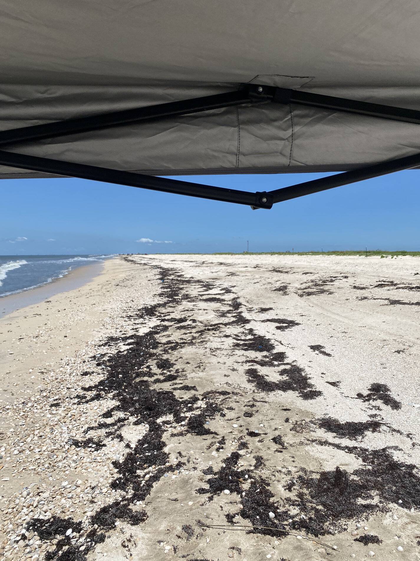 Ford Bronco Sport My  Bronco Sport is getting a steady workout 619E14A0-883F-4CF5-9C13-60840E1A9B9B