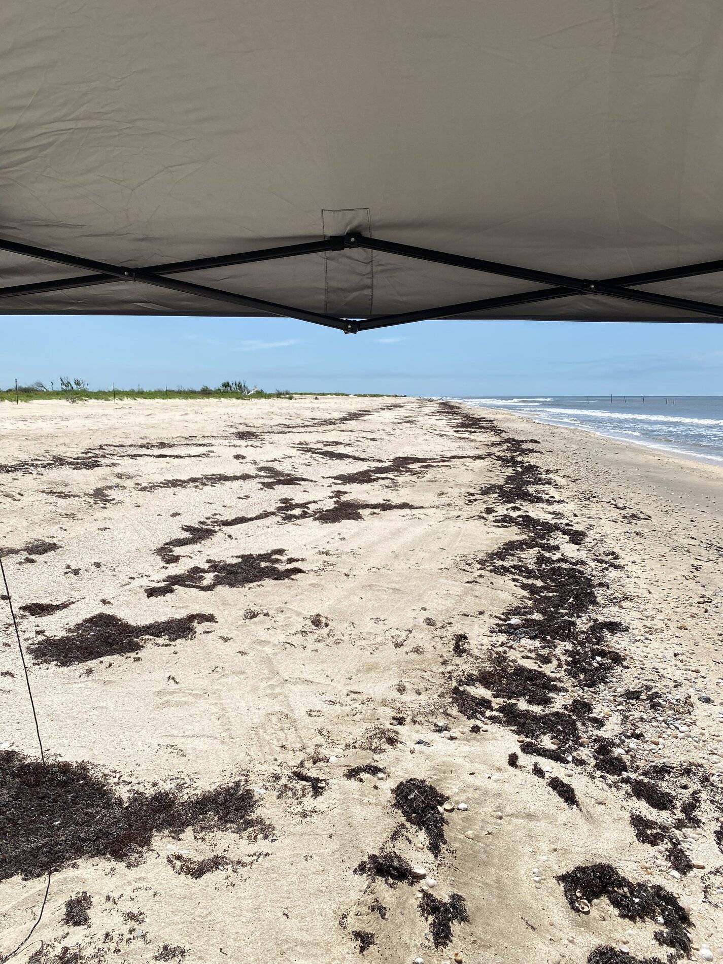 Ford Bronco Sport My  Bronco Sport is getting a steady workout 10941BA6-F31A-4444-B853-41FA2309D052