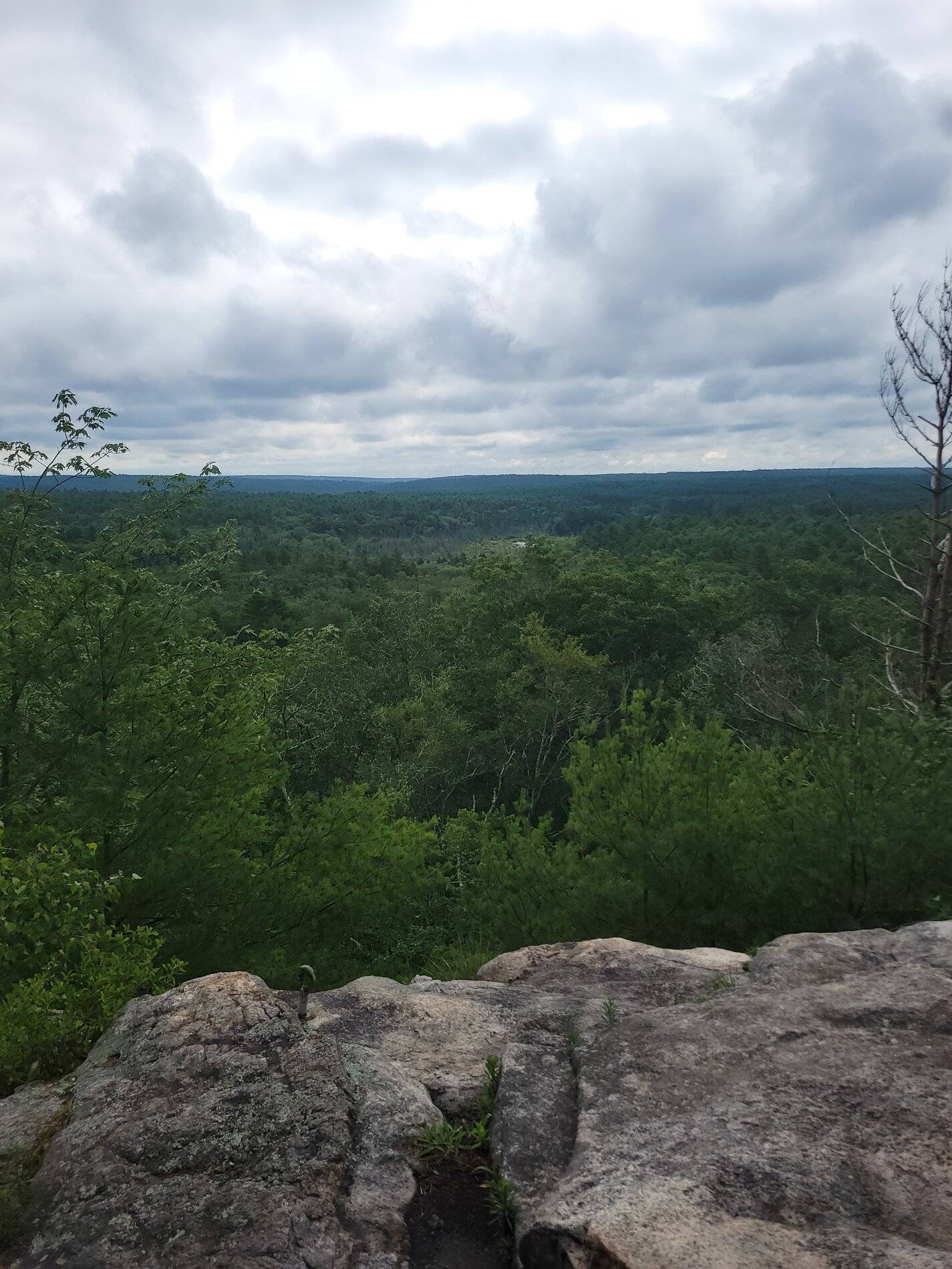 Ford Bronco Sport Post the best photos you've got of your Bronco Sport 20210710_092629