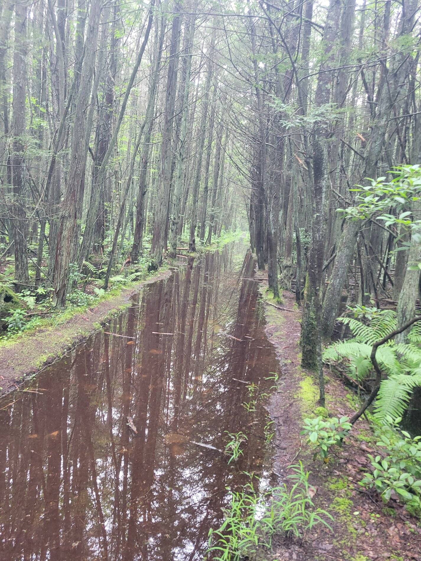 Ford Bronco Sport Post the best photos you've got of your Bronco Sport 20210710_110244