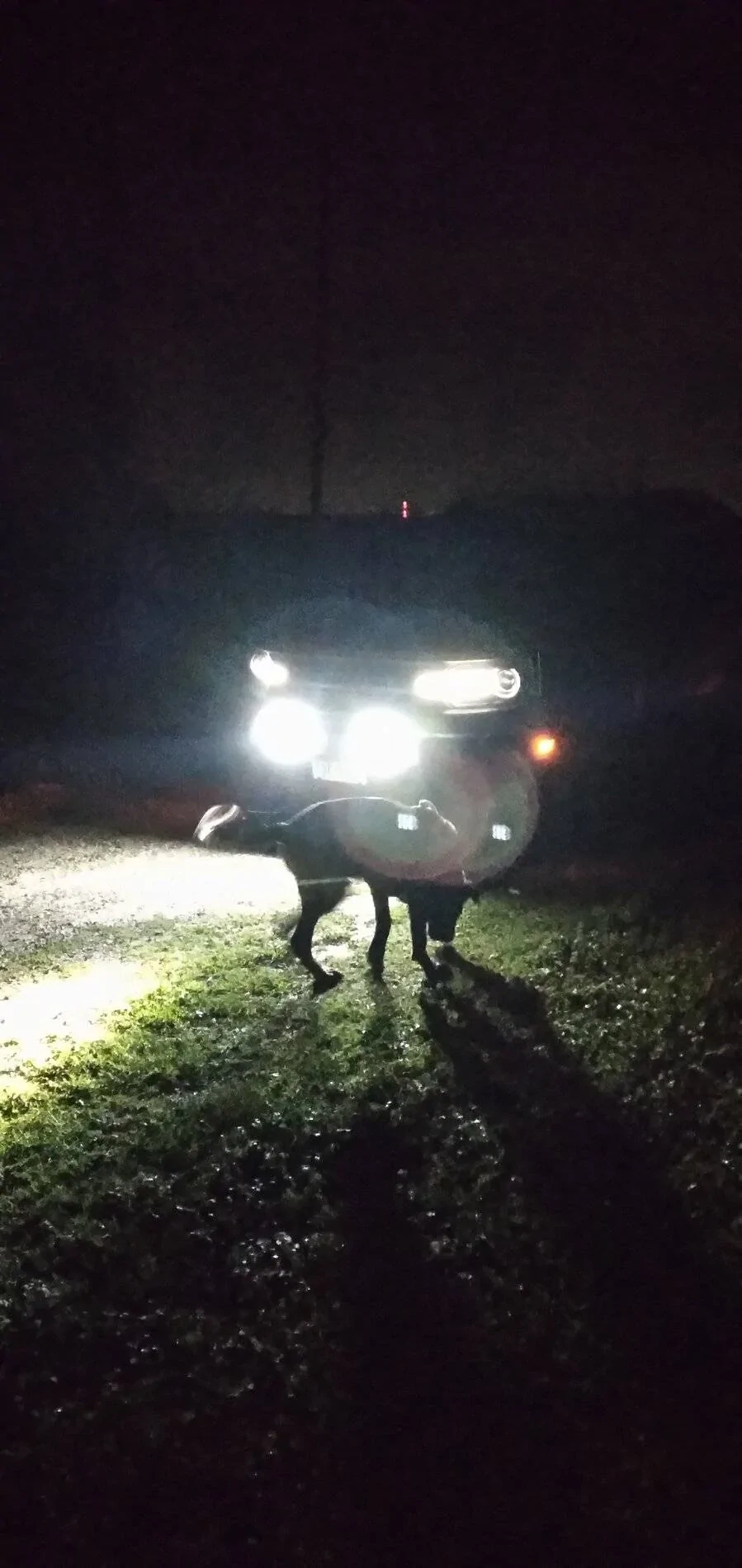 Ford Bronco Sport "El Potro" Build 20210713_214445