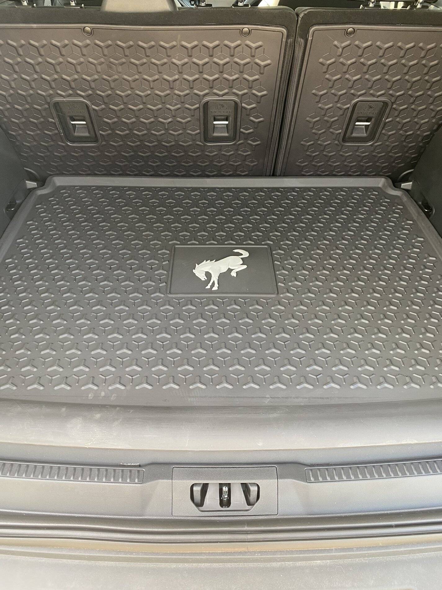 Ford Bronco Sport Difference between the cargo mat and the Cargo Area Protector, Non-Capable Series 1B771947-09CA-4F9E-BCB8-A0074F6D3AE0