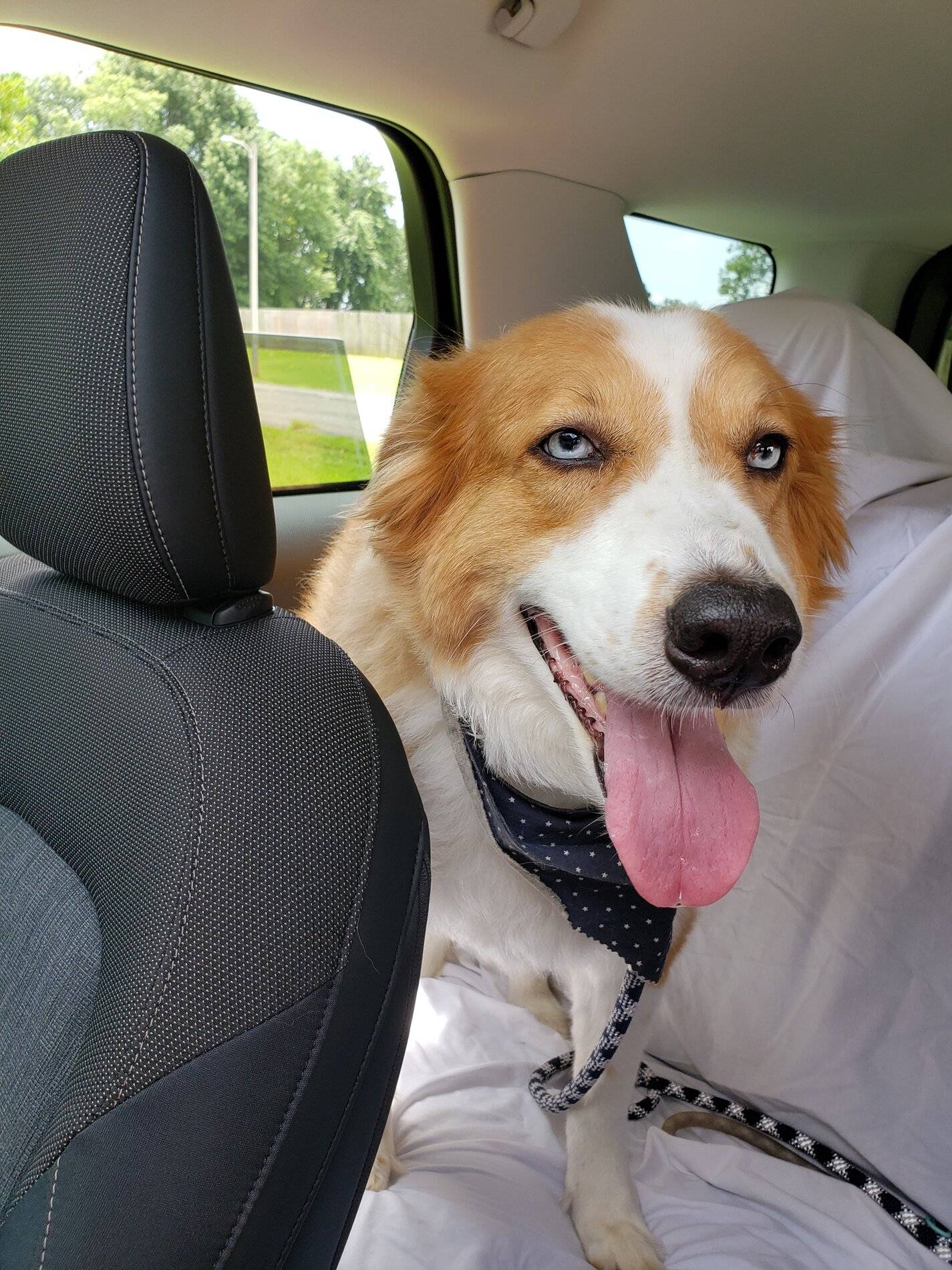 Ford Bronco Sport Official ALTO BLUE Bronco Sport Thread 20210715_123203