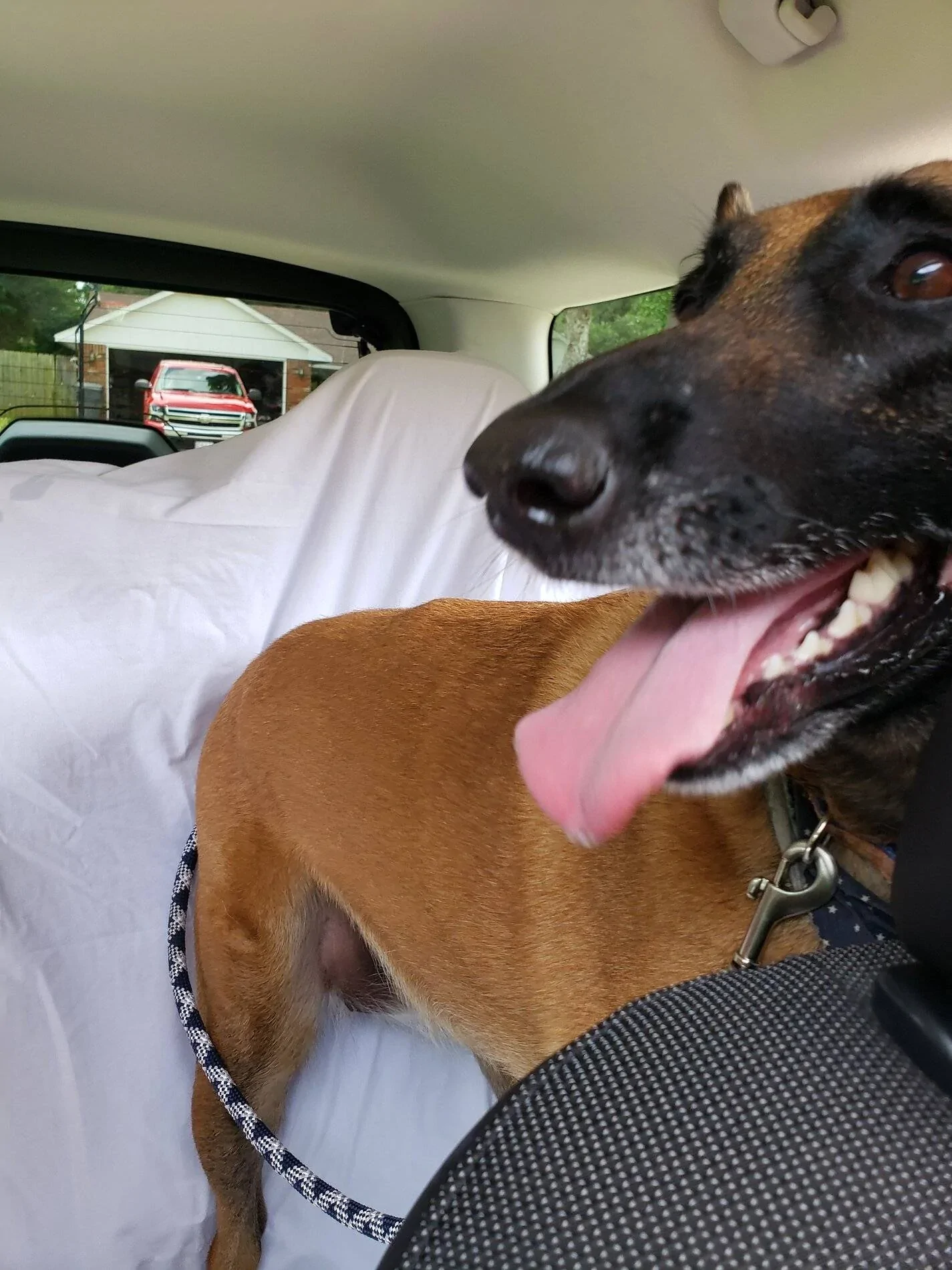 Ford Bronco Sport Official ALTO BLUE Bronco Sport Thread 20210715_123214