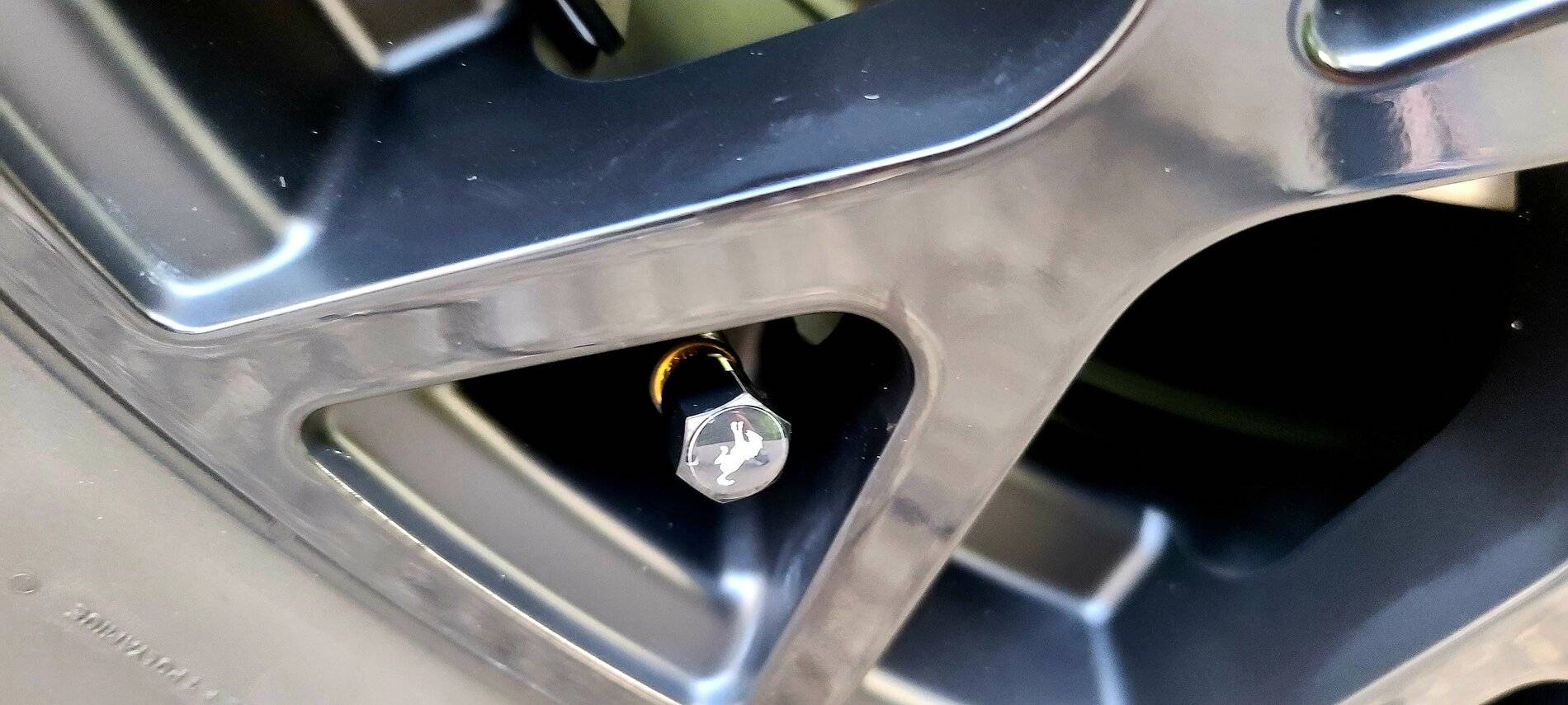 Ford Bronco Sport Post the best photos you've got of your Bronco Sport 20210723_195929