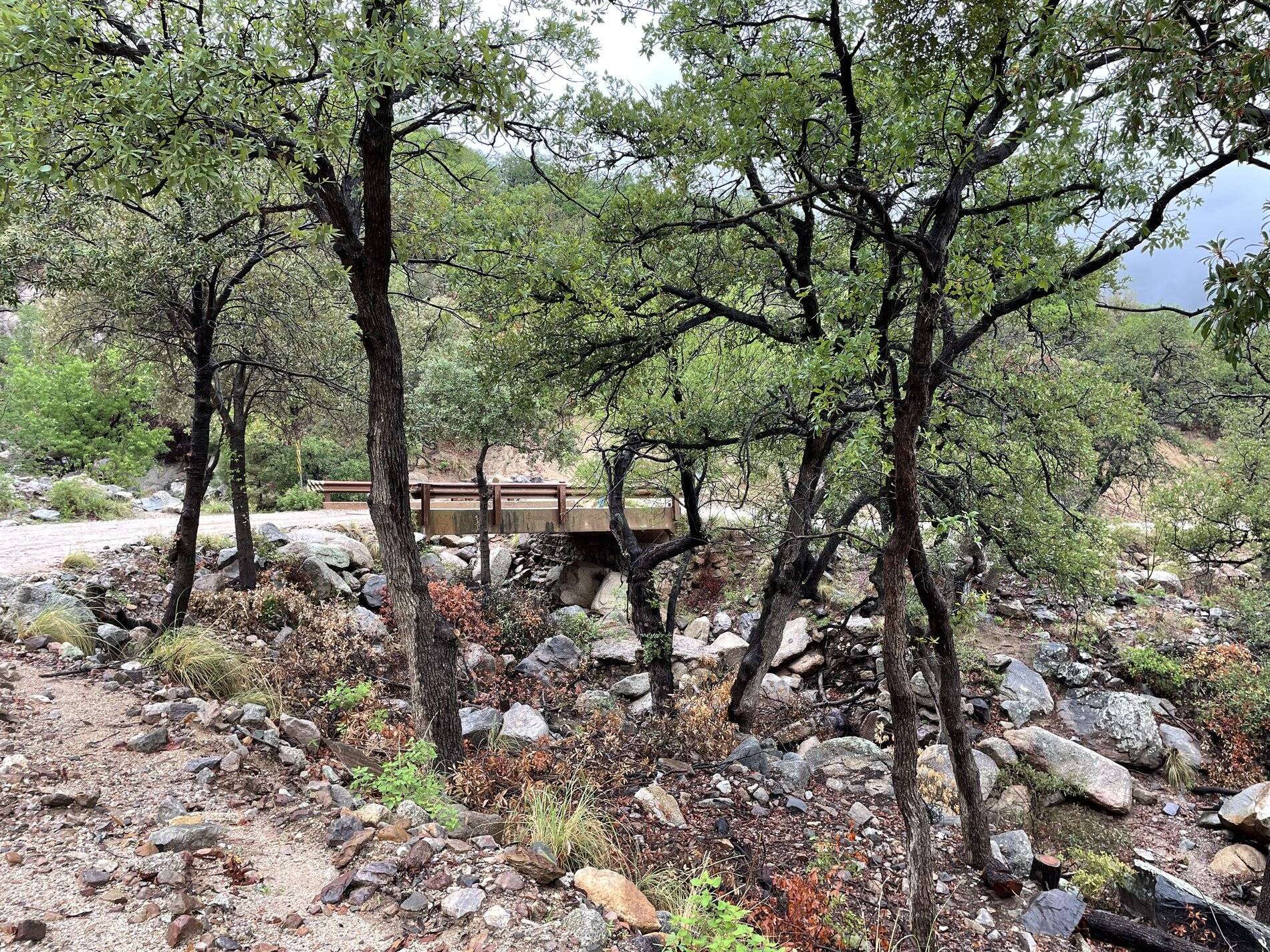 Ford Bronco Sport Arizona Canyon in the rain with Bronco Sport pics 31EBF262-E82B-4479-9E31-33FCF6EE2C25