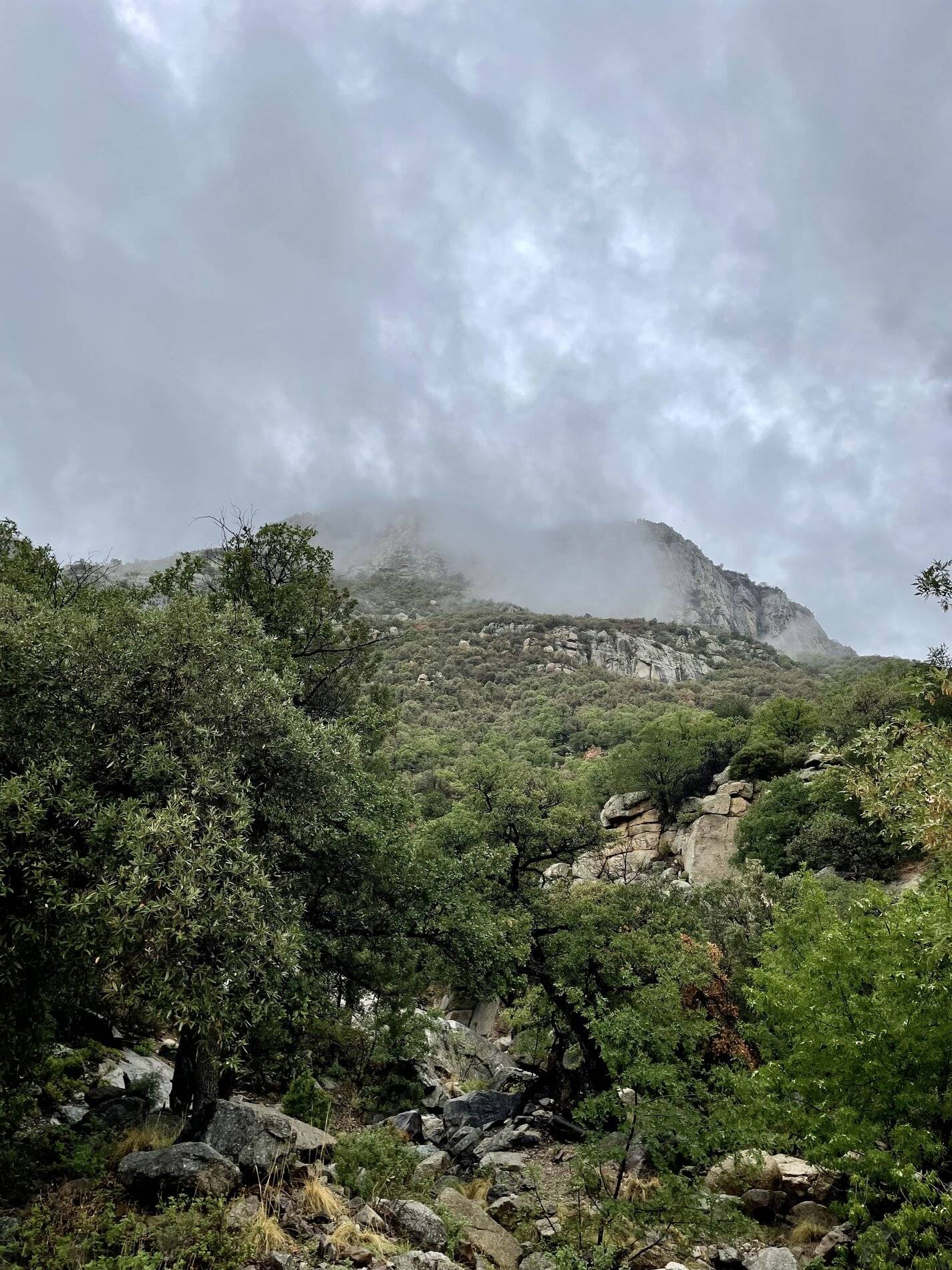 Ford Bronco Sport Arizona Canyon in the rain with Bronco Sport pics 4FC4EEFF-48F9-4DD6-BA4C-0D4E23756F1F