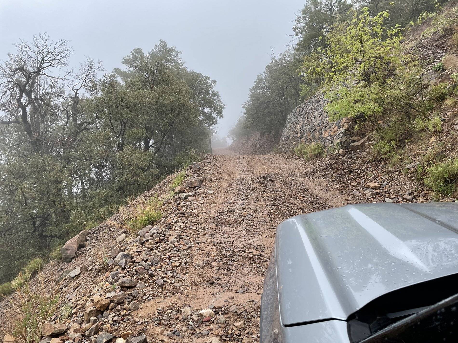 Ford Bronco Sport Arizona Canyon in the rain with Bronco Sport pics 39DE23B6-1E89-4584-B956-9996CC673CD7