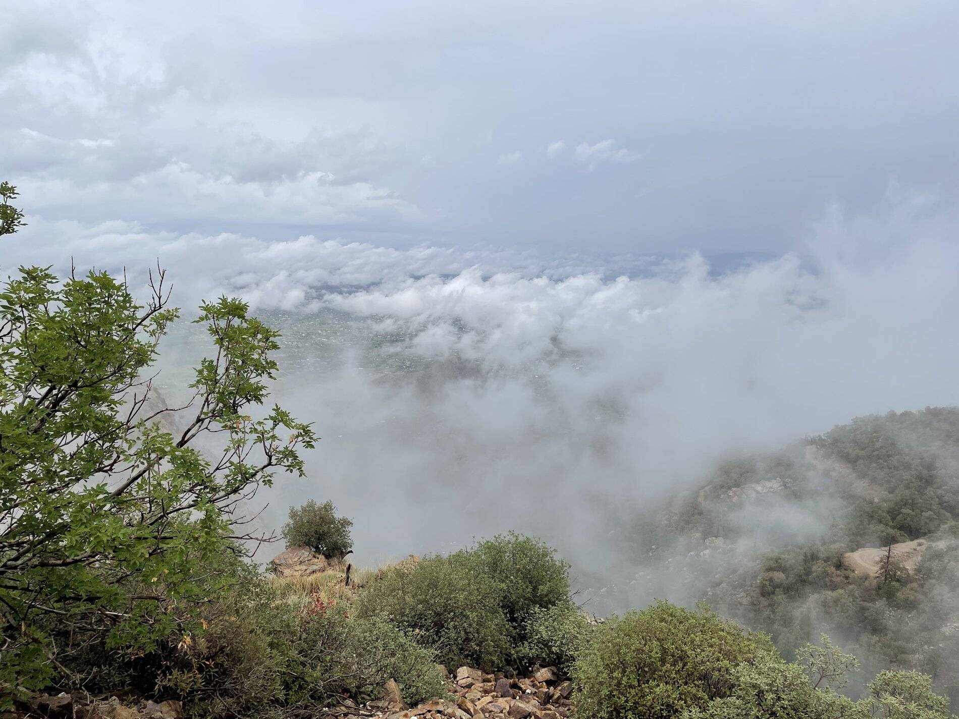Ford Bronco Sport Arizona Canyon in the rain with Bronco Sport pics 20375272-B8AD-4931-9D35-F5D26B04581C