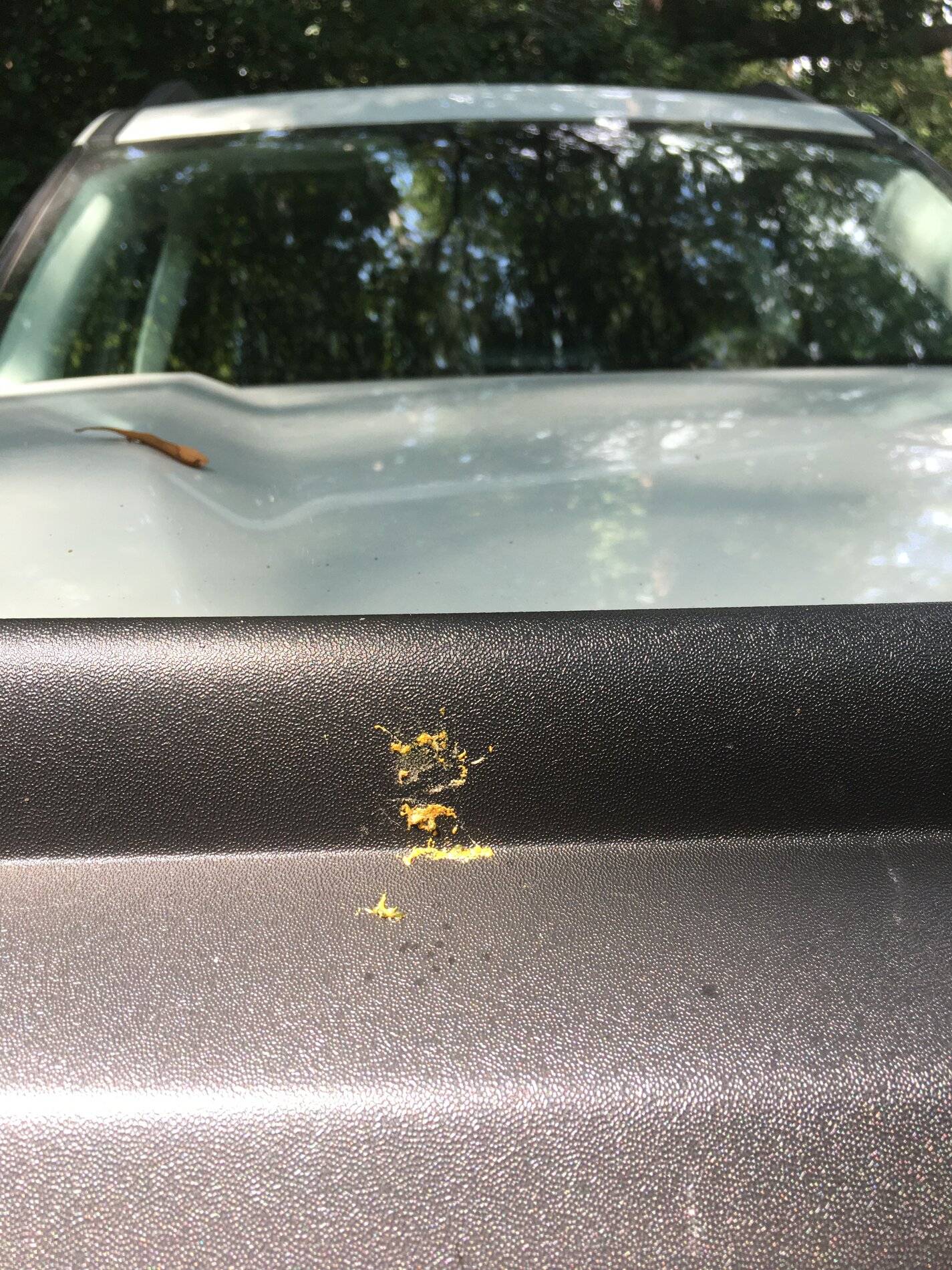 Ford Bronco Sport Score one for Aeroskin II 8A873407-FDFE-4355-A46E-E4B3FCBA6D85