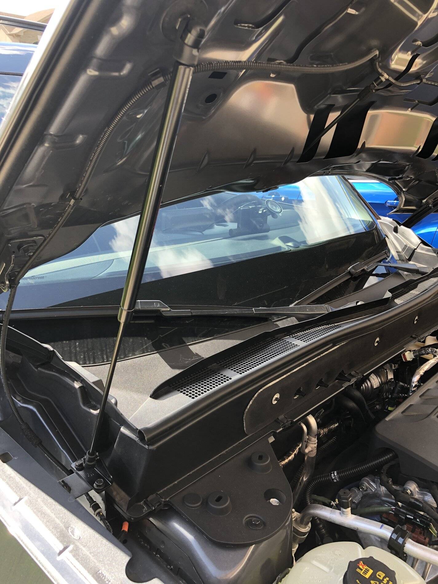 Ford Bronco Sport My personalized Bronco Sport pics 88694823-88B5-4736-9F78-CD6C475CB972