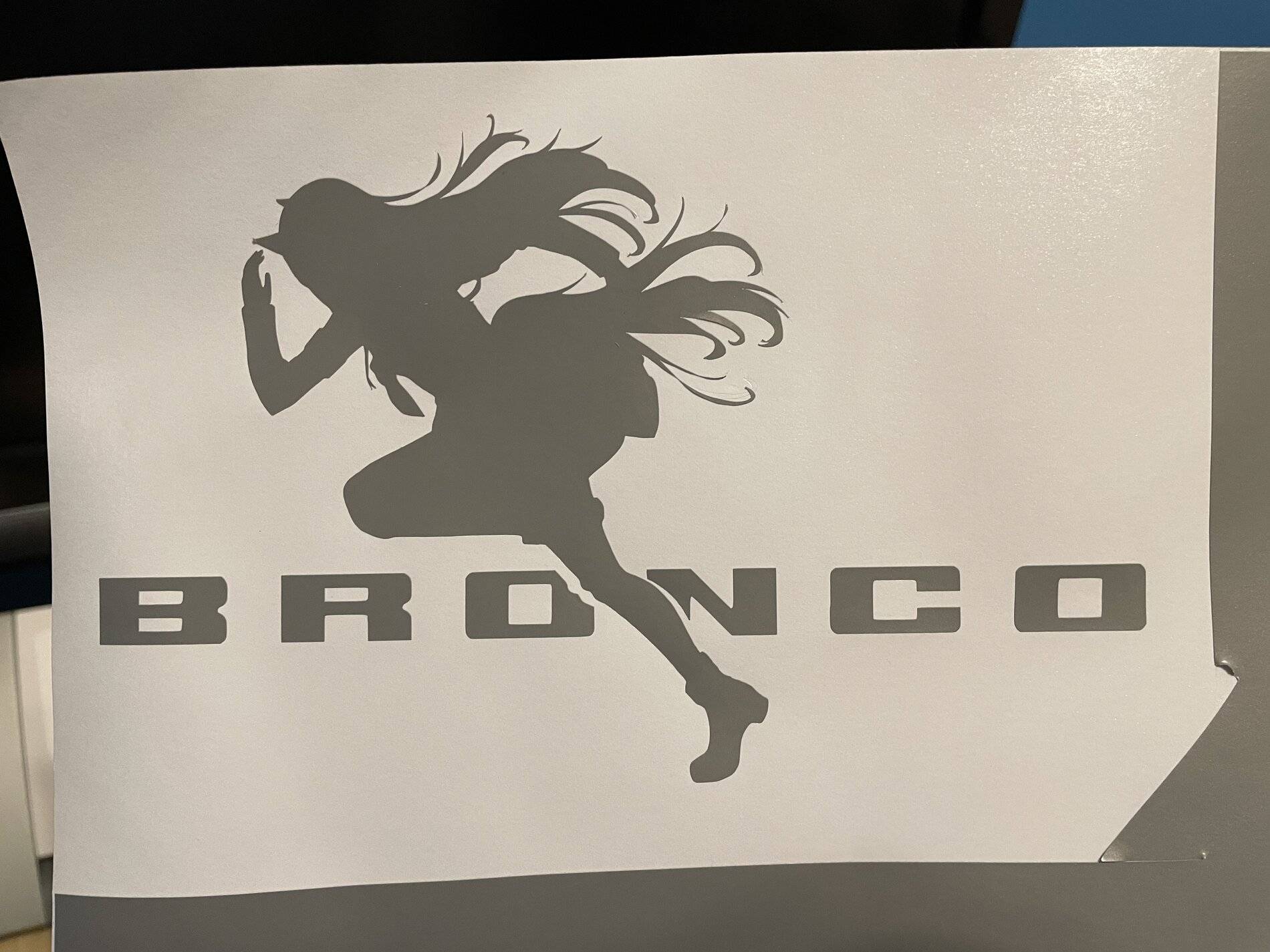 Ford Bronco Sport Rear window decal 8FECB350-A7EC-4EAE-8BDE-69B93E3C8947