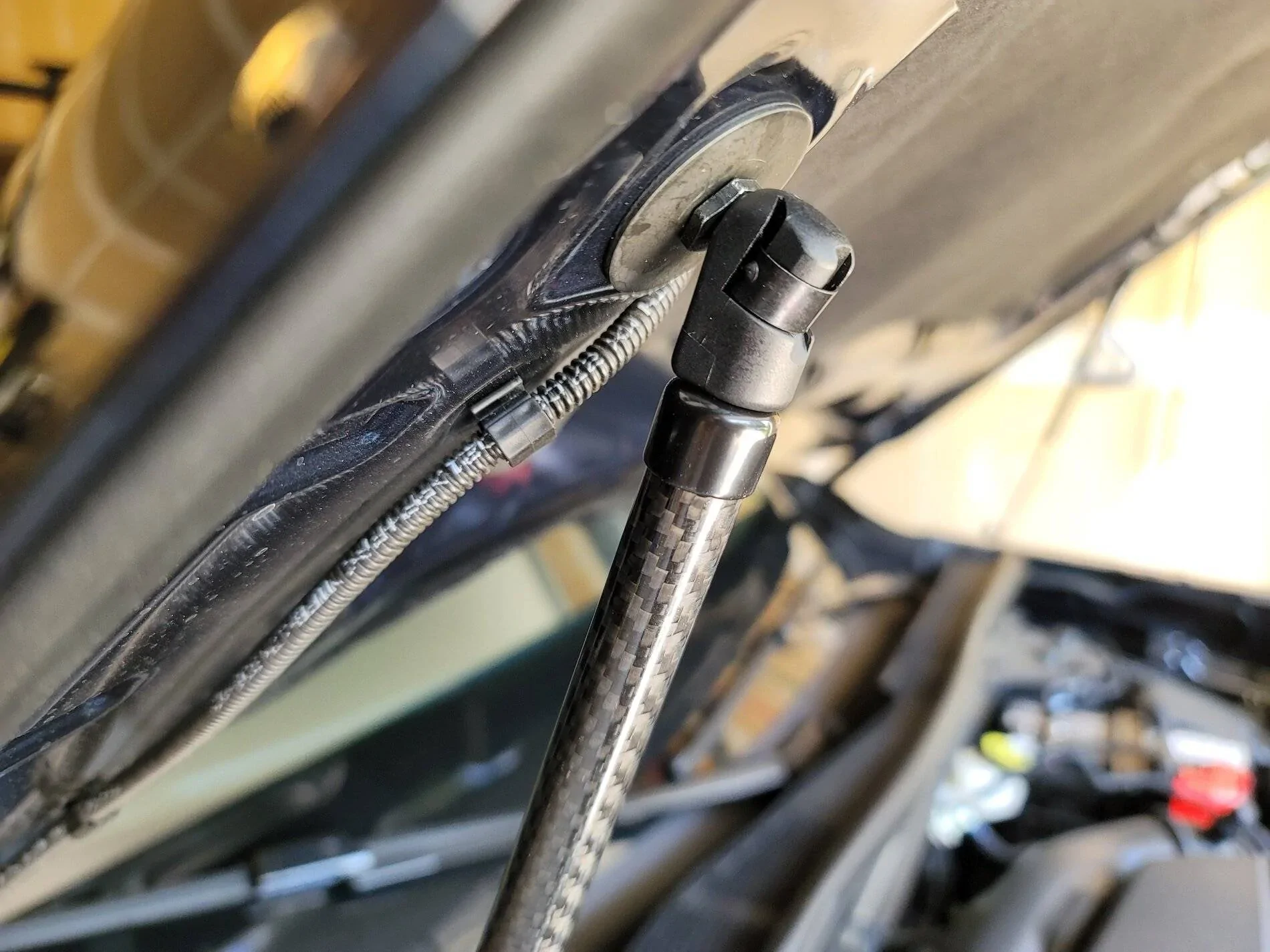 Ford Bronco Sport What did you do TO your Bronco Sport today? 20210802_150557