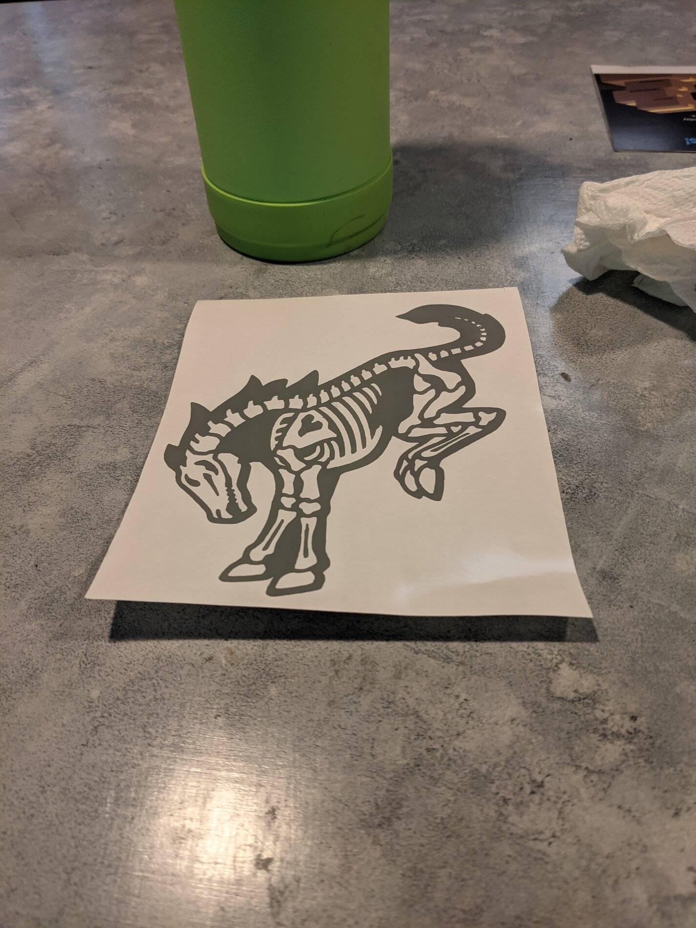 Ford Bronco Sport Rear window decal PXL_20210617_184128009