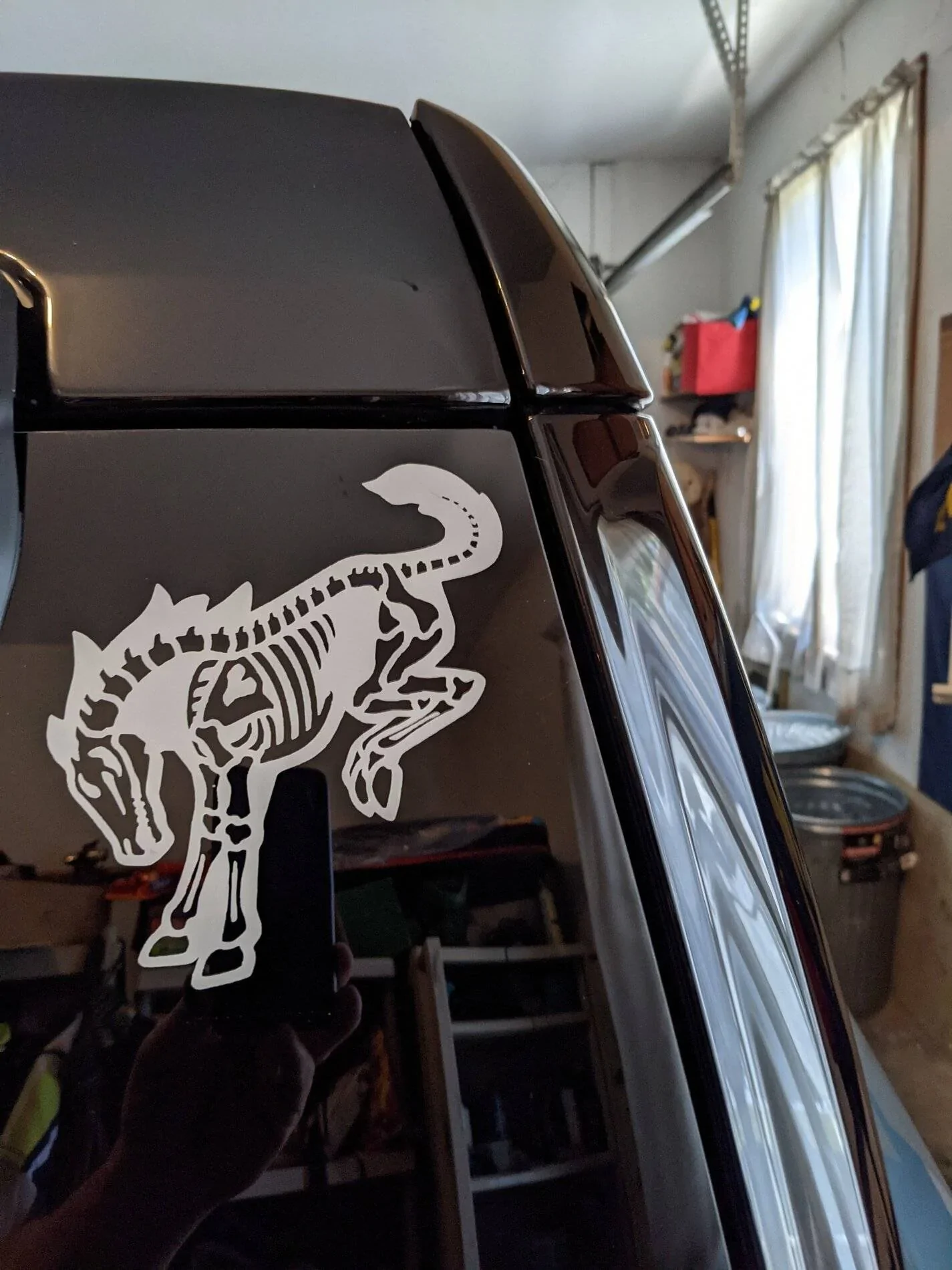 Ford Bronco Sport Rear window decal PXL_20210617_192824604