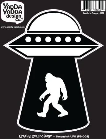 Ford Bronco Sport Rear window decal 41UpEWUCCGL._AC_