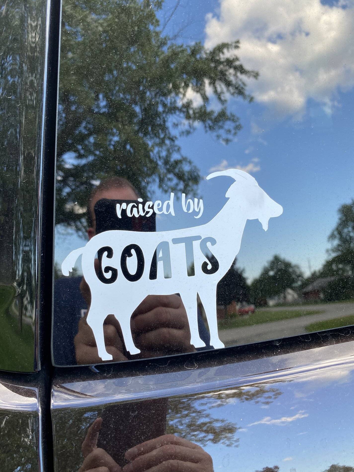 Ford Bronco Sport Rear window decal 20347F98-9747-4972-8D13-5BB5FA425530