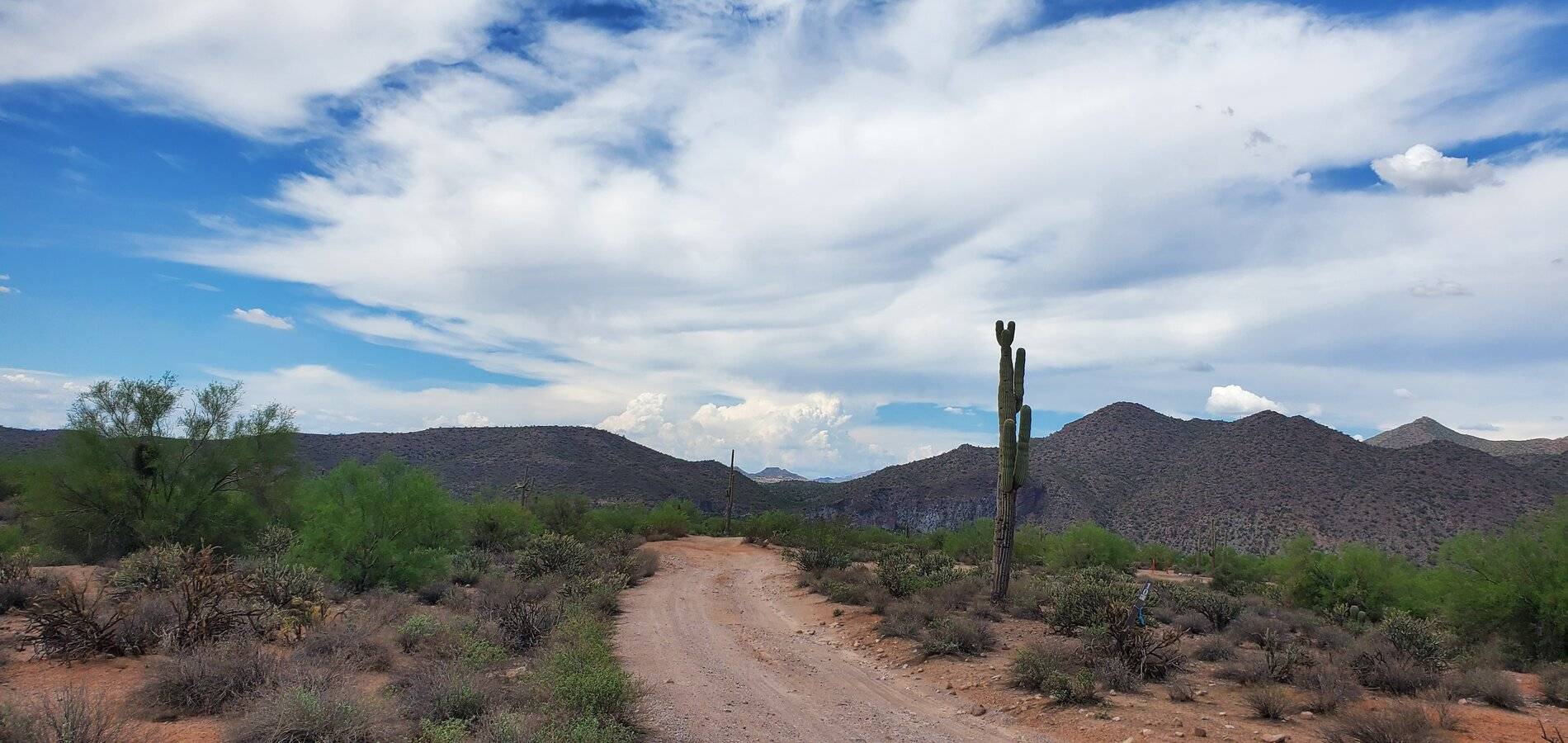 Ford Bronco Sport Bulldog Canyon AZ. Ursey gate to Blue point 20210801_142203