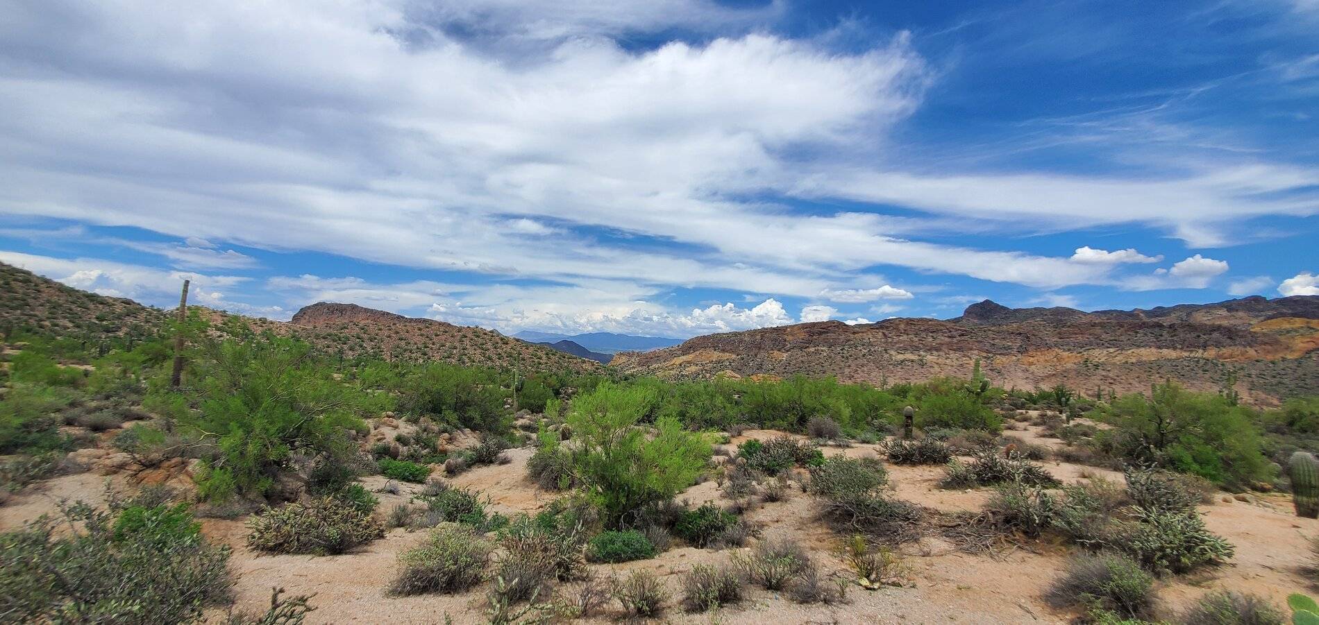 Ford Bronco Sport Bulldog Canyon AZ. Ursey gate to Blue point 20210801_134318