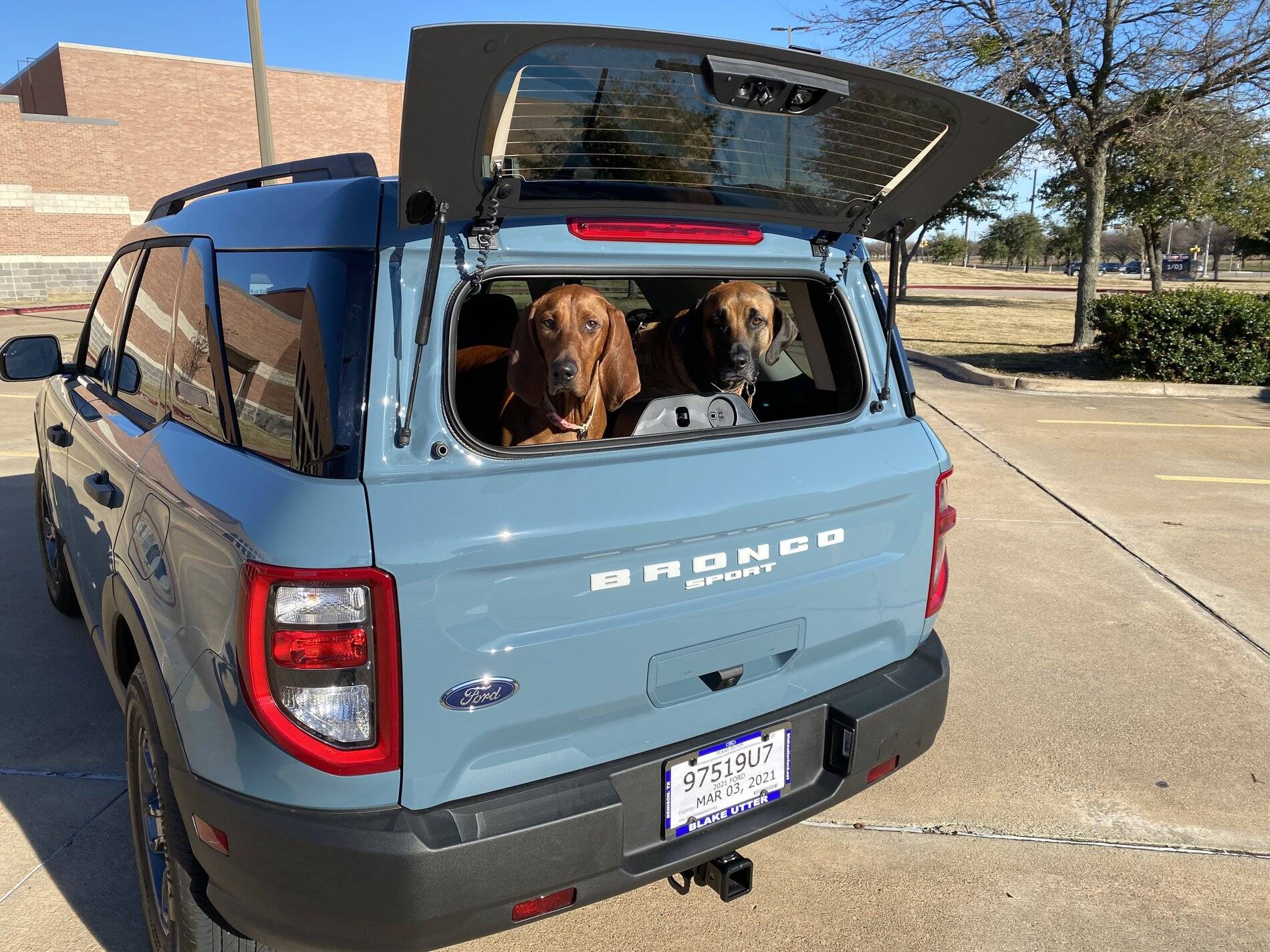 Ford Bronco Sport Post the best photos you've got of your Bronco Sport C4A1AC2C-61B2-4AA4-A7AE-347F972B7D52