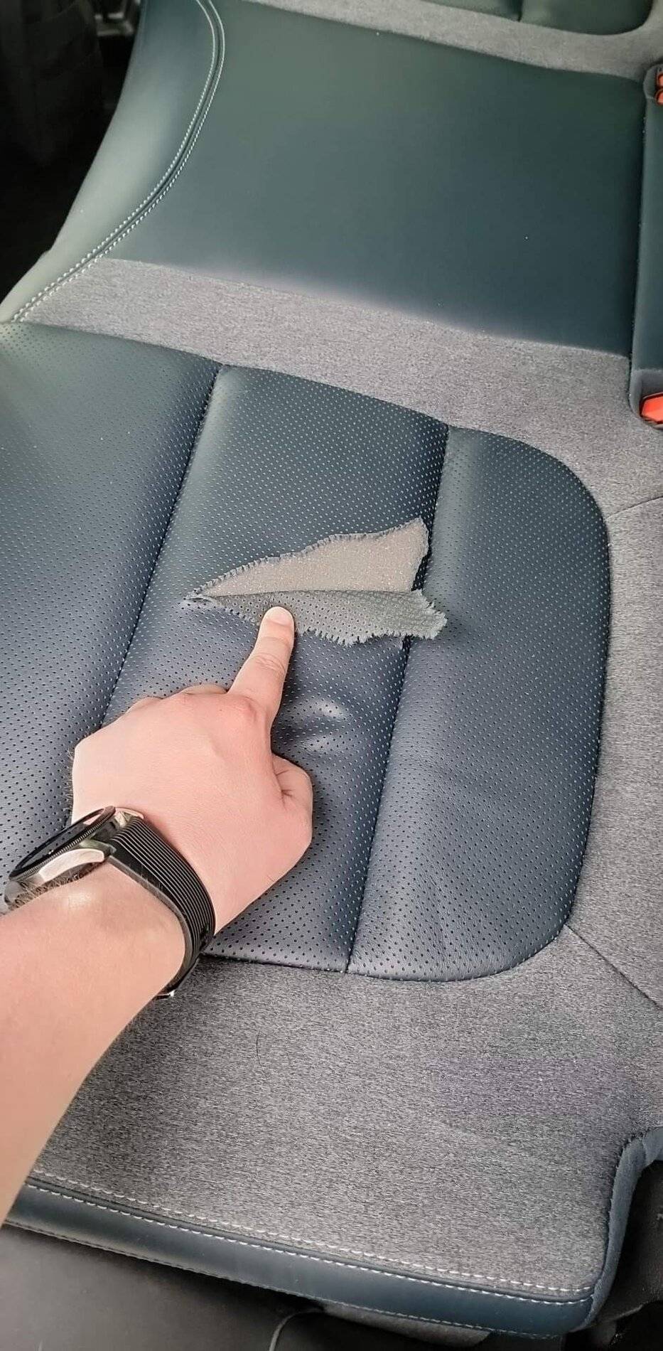 Ford Bronco Sport Well that's depressing. Seat torn received_363856331863793